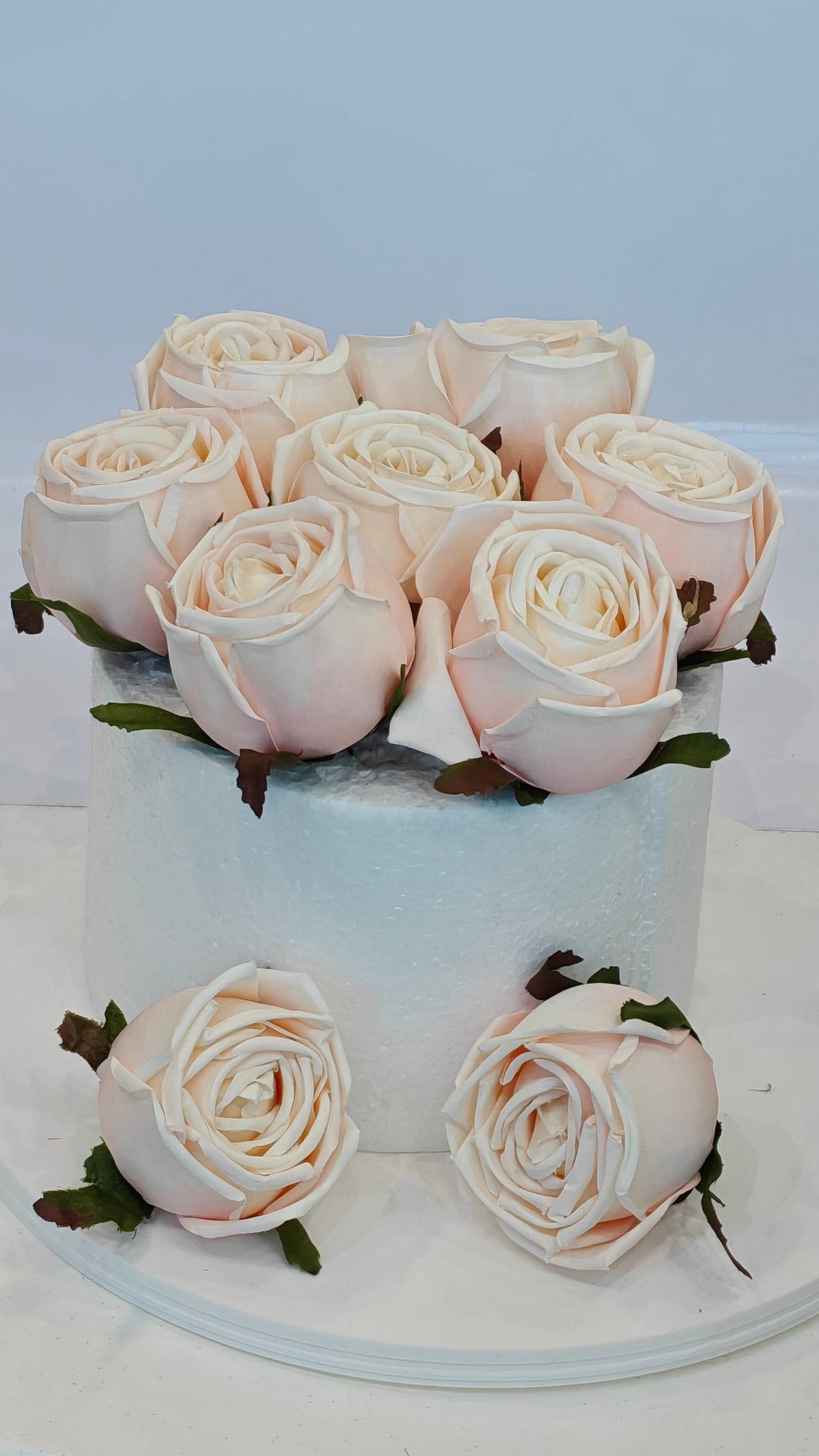 Ivory Blush Cabbage Roses (Pack of 10)