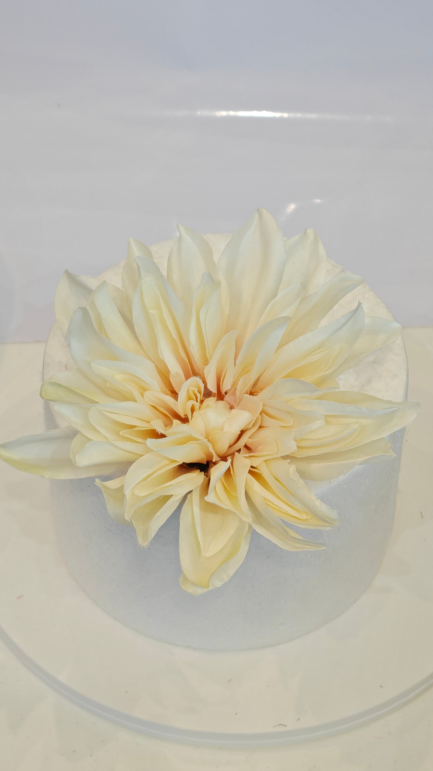 Big Dahlia Flower