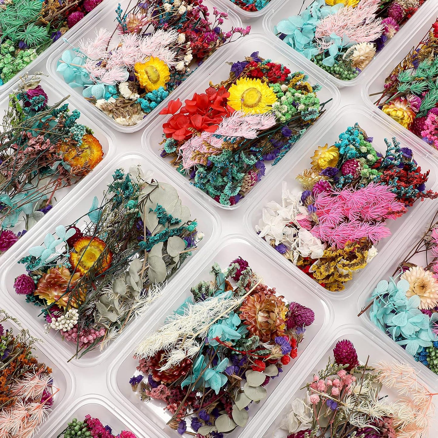 Real Dried Flower Box