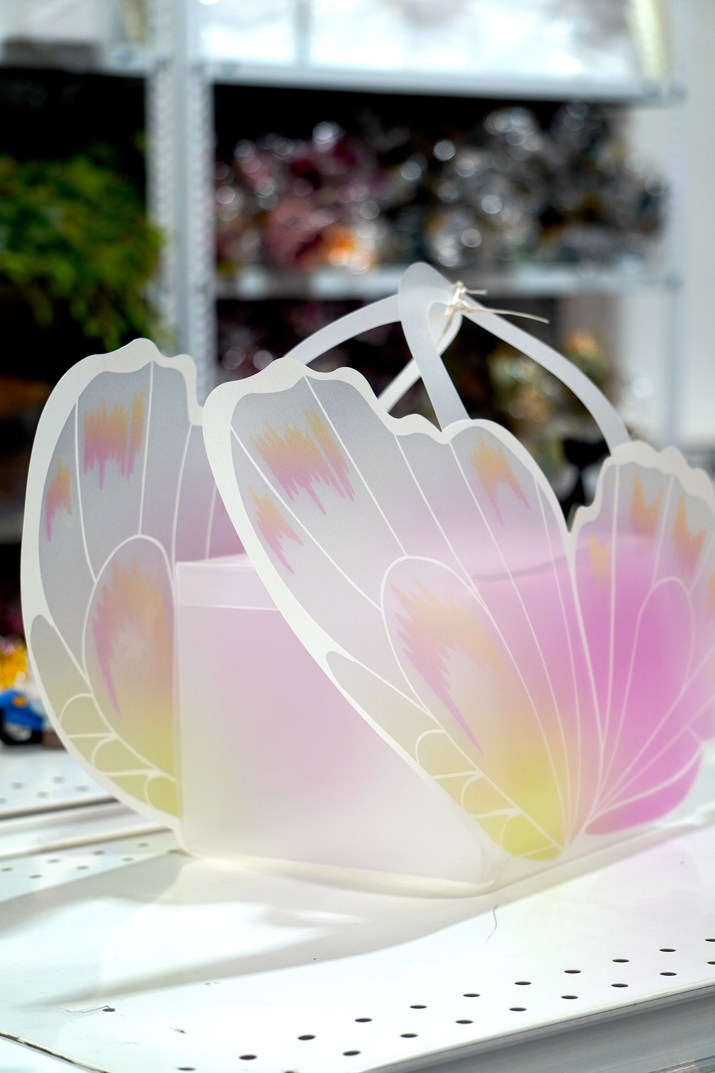 Butterfly Hamper (Pack of 4)
