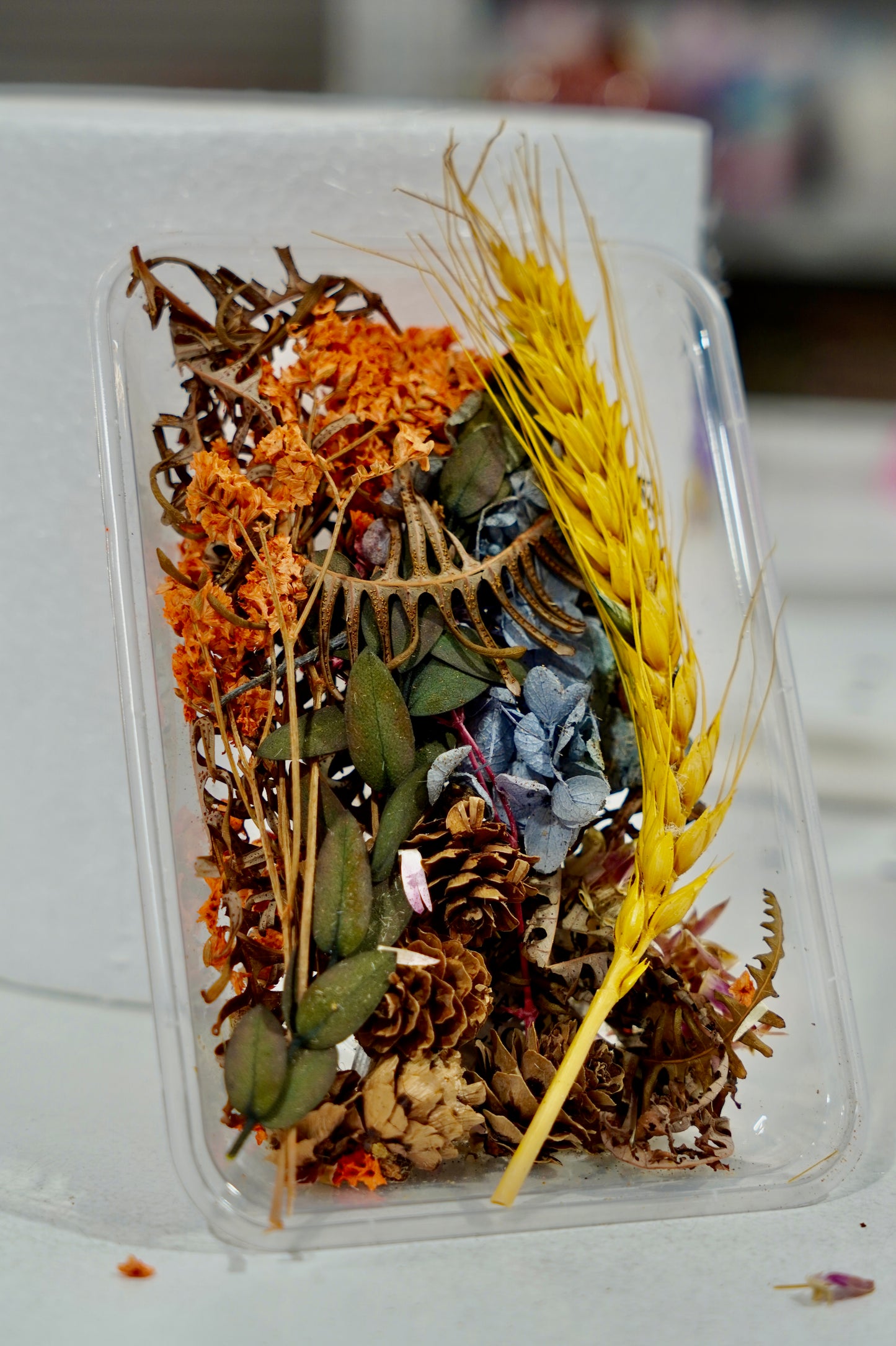 Real Dried Flower Box