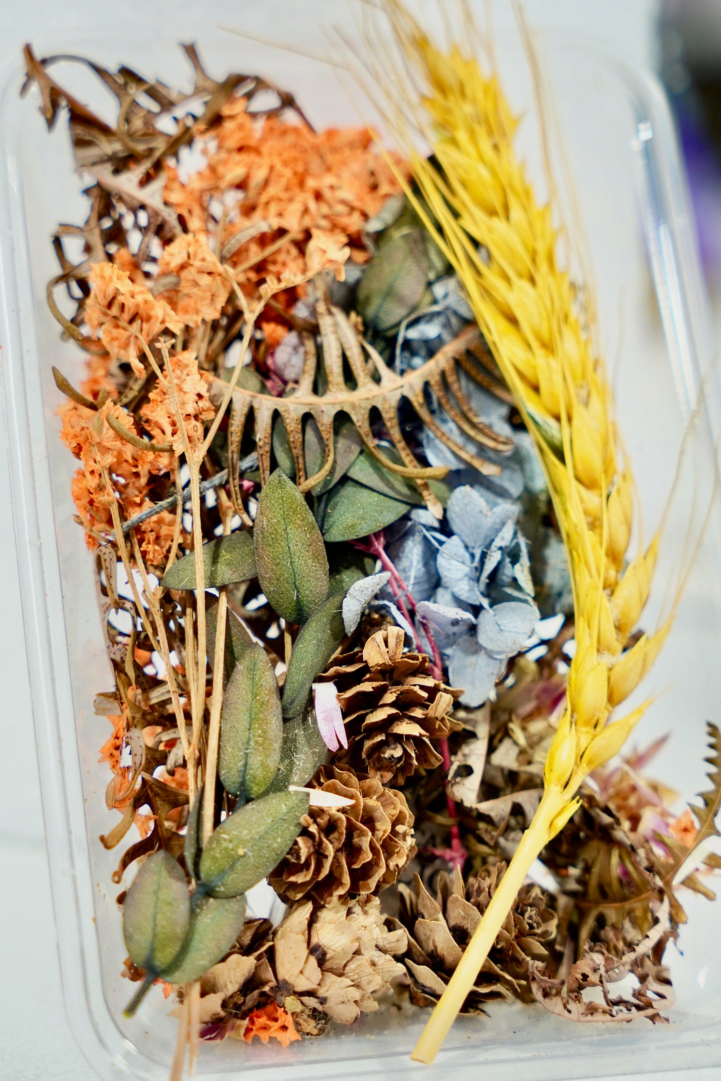 Real Dried Flower Box