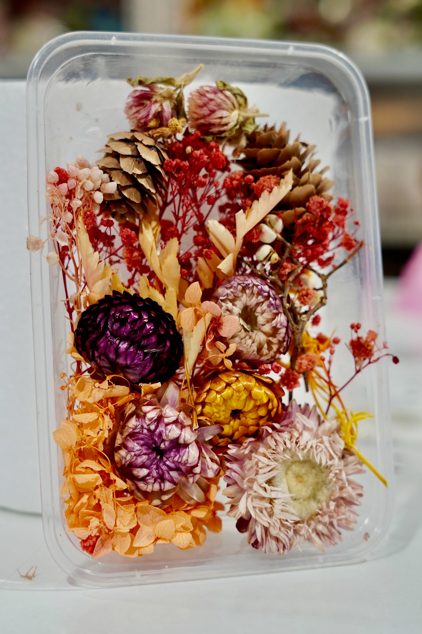 Real Dried Flower Box