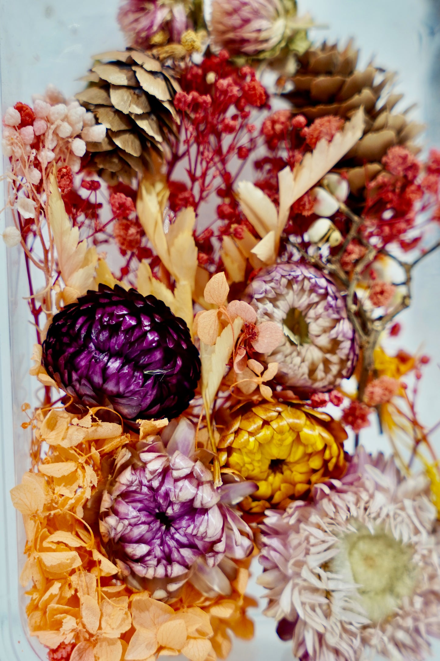 Real Dried Flower Box