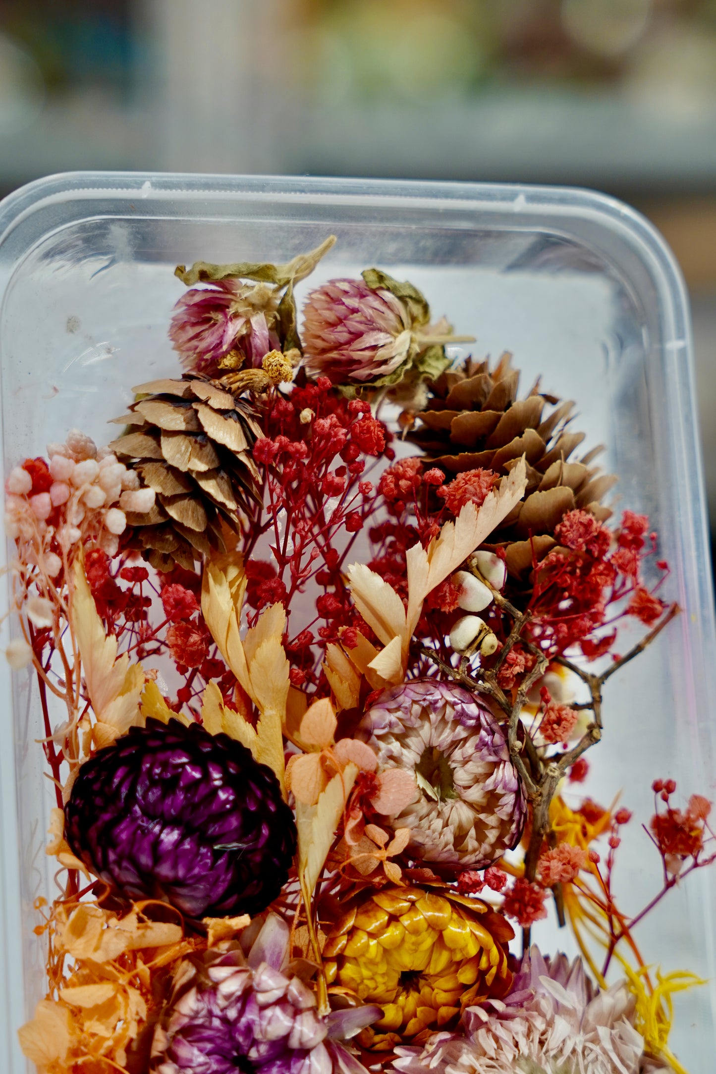 Real Dried Flower Box