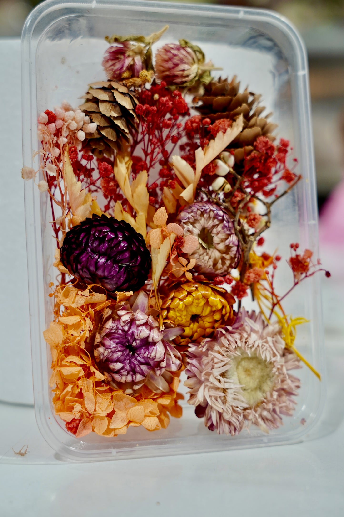 Real Dried Flower Box