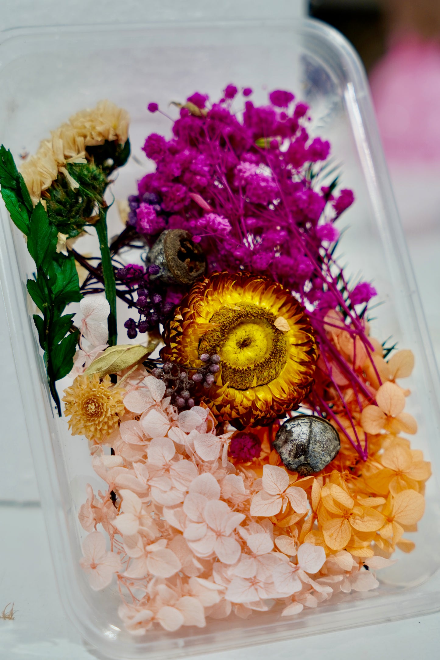 Real Dried Flower Box