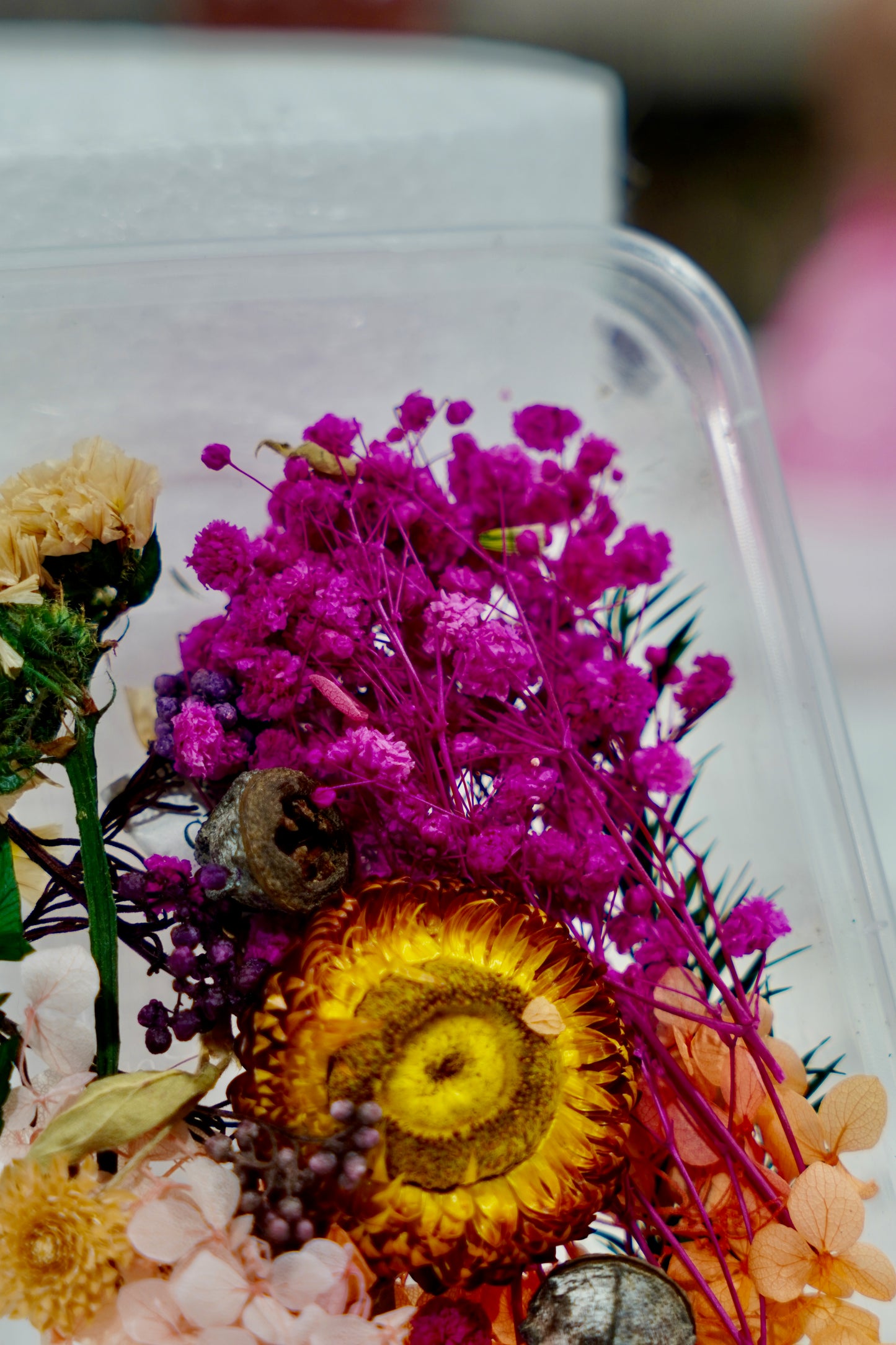 Real Dried Flower Box