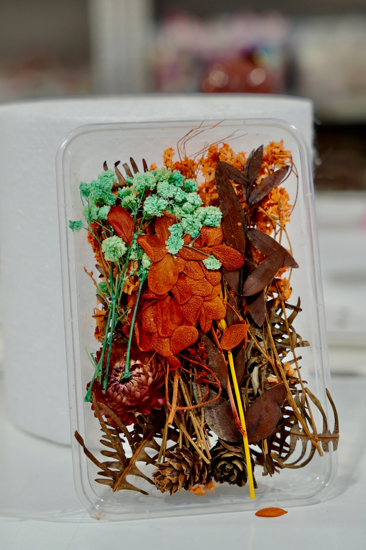 Real Dried Flower Box