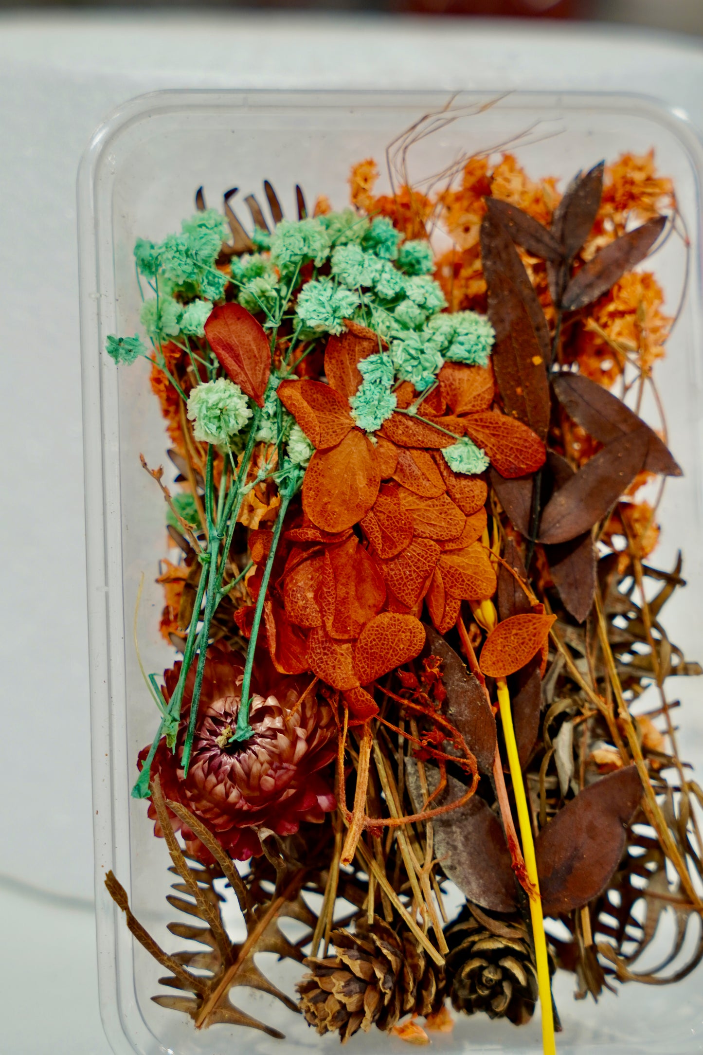 Real Dried Flower Box