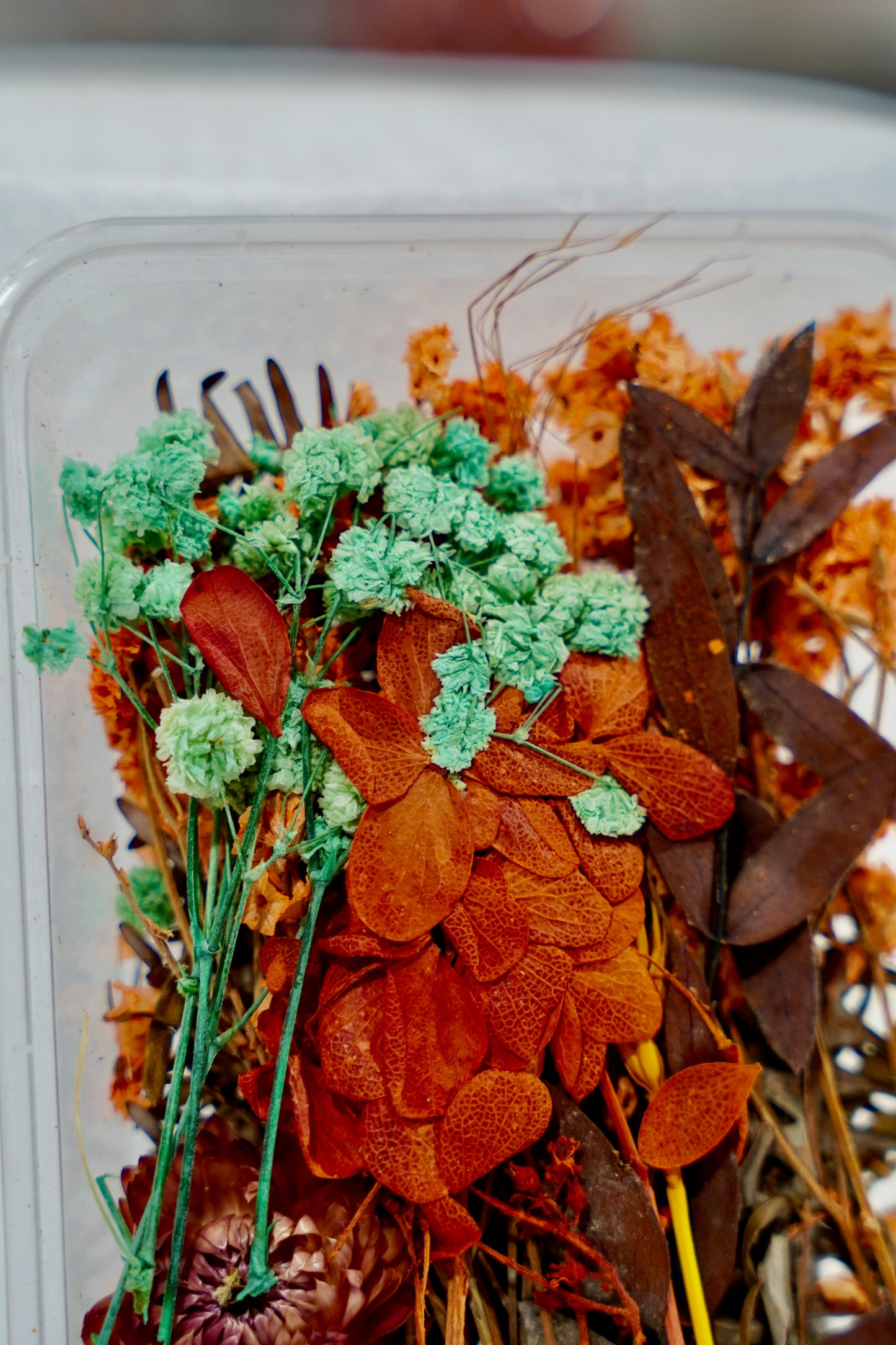 Real Dried Flower Box