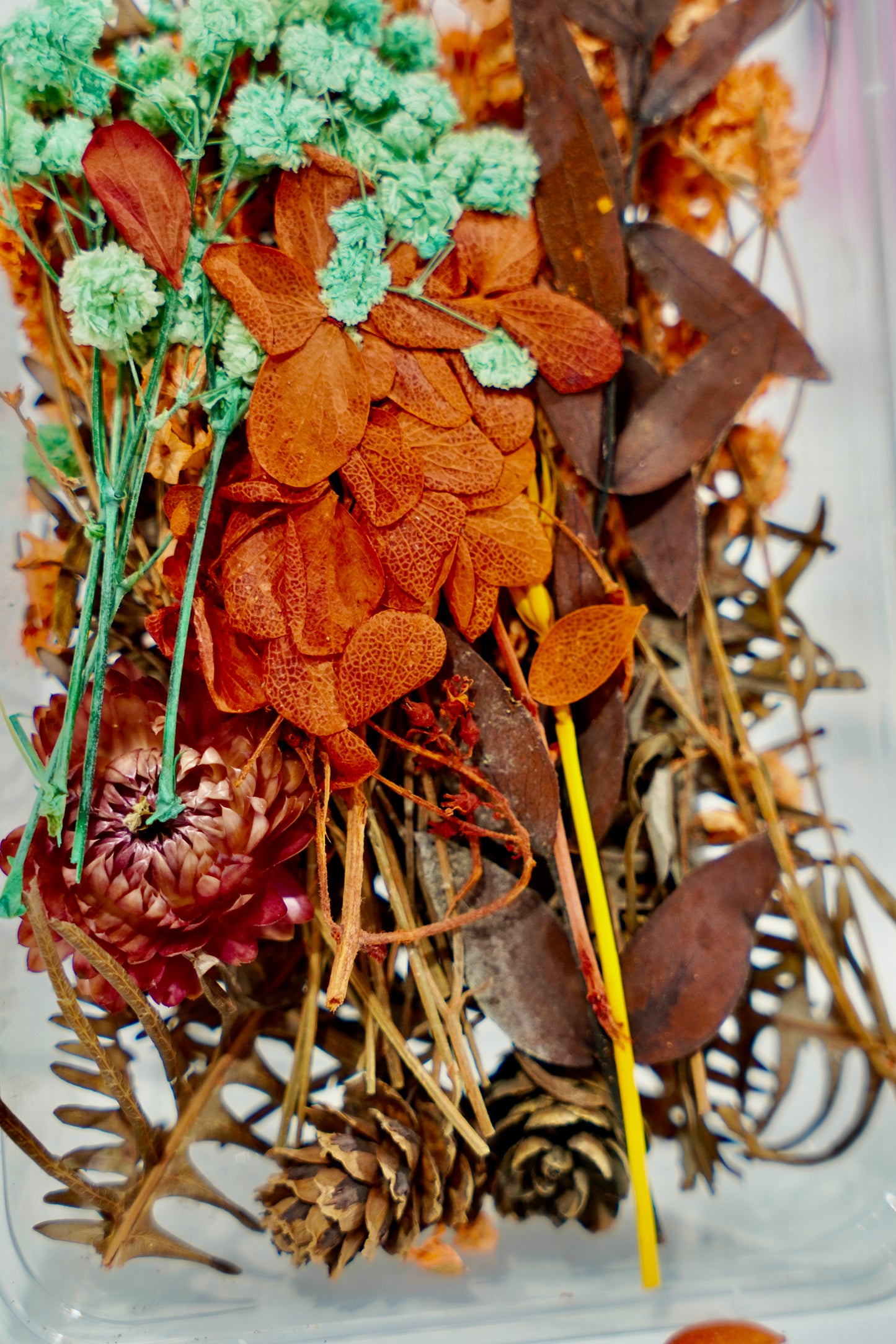 Real Dried Flower Box
