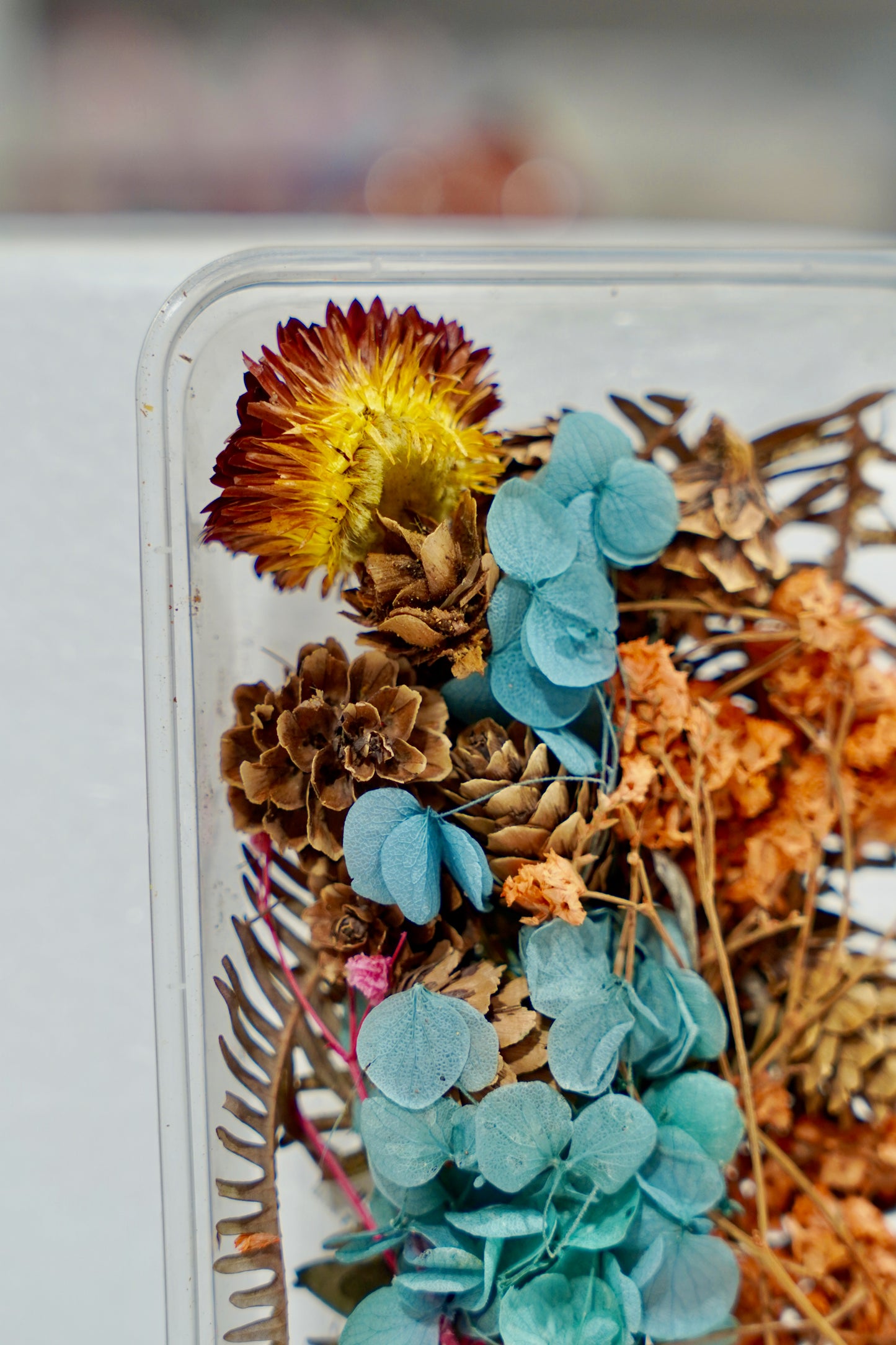 Real Dried Flower Box