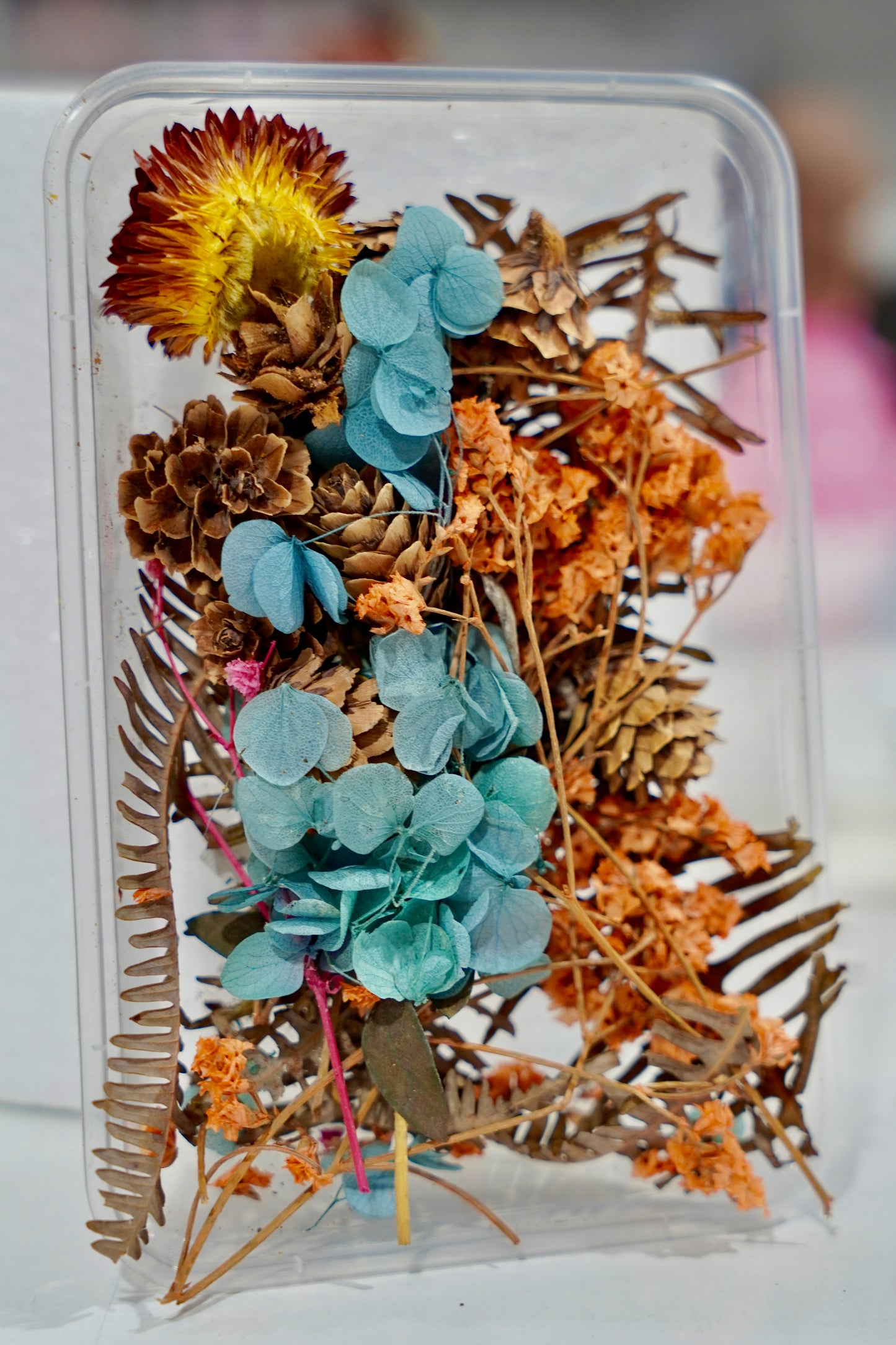 Real Dried Flower Box
