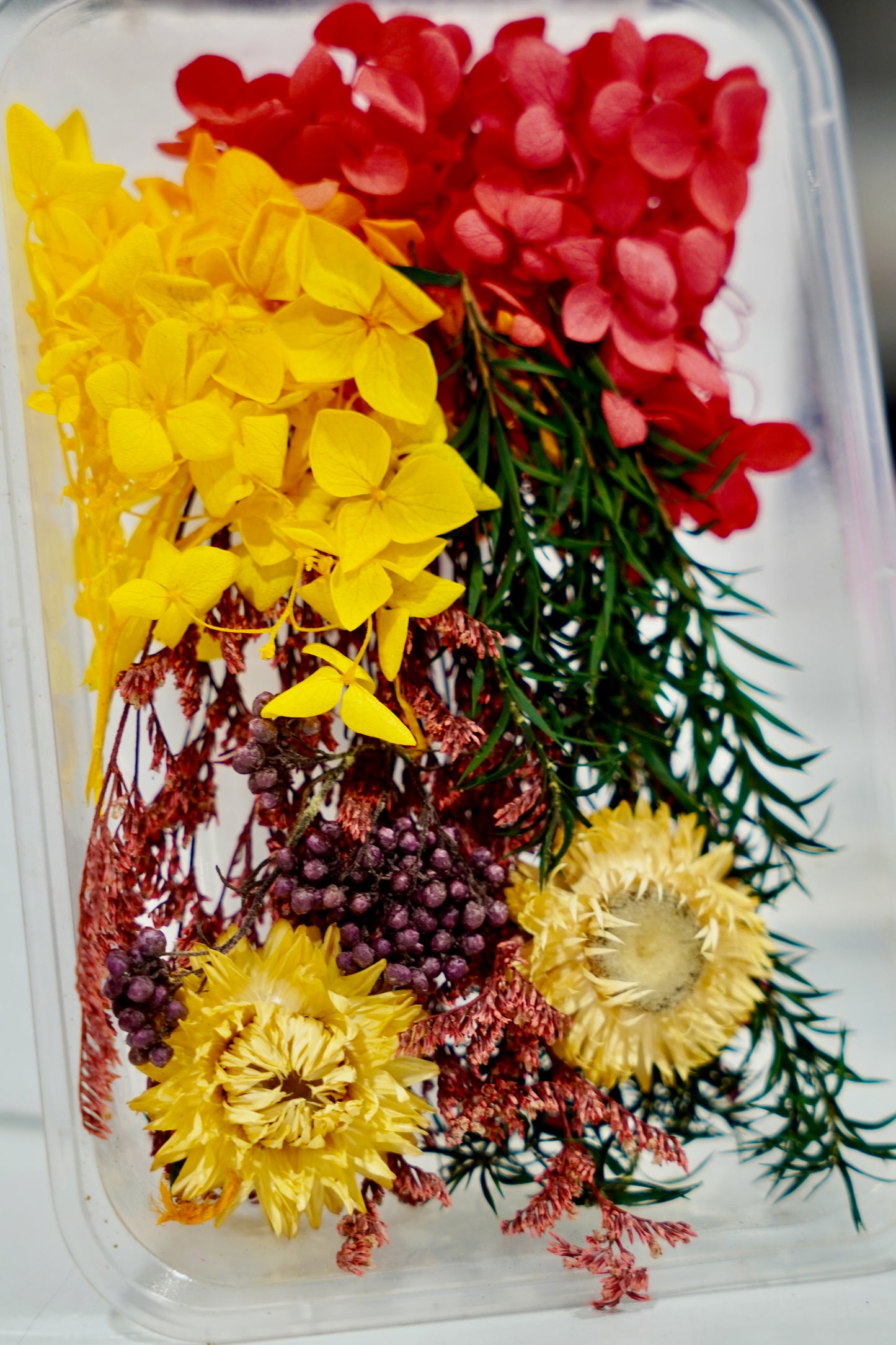 Real Dried Flower Box