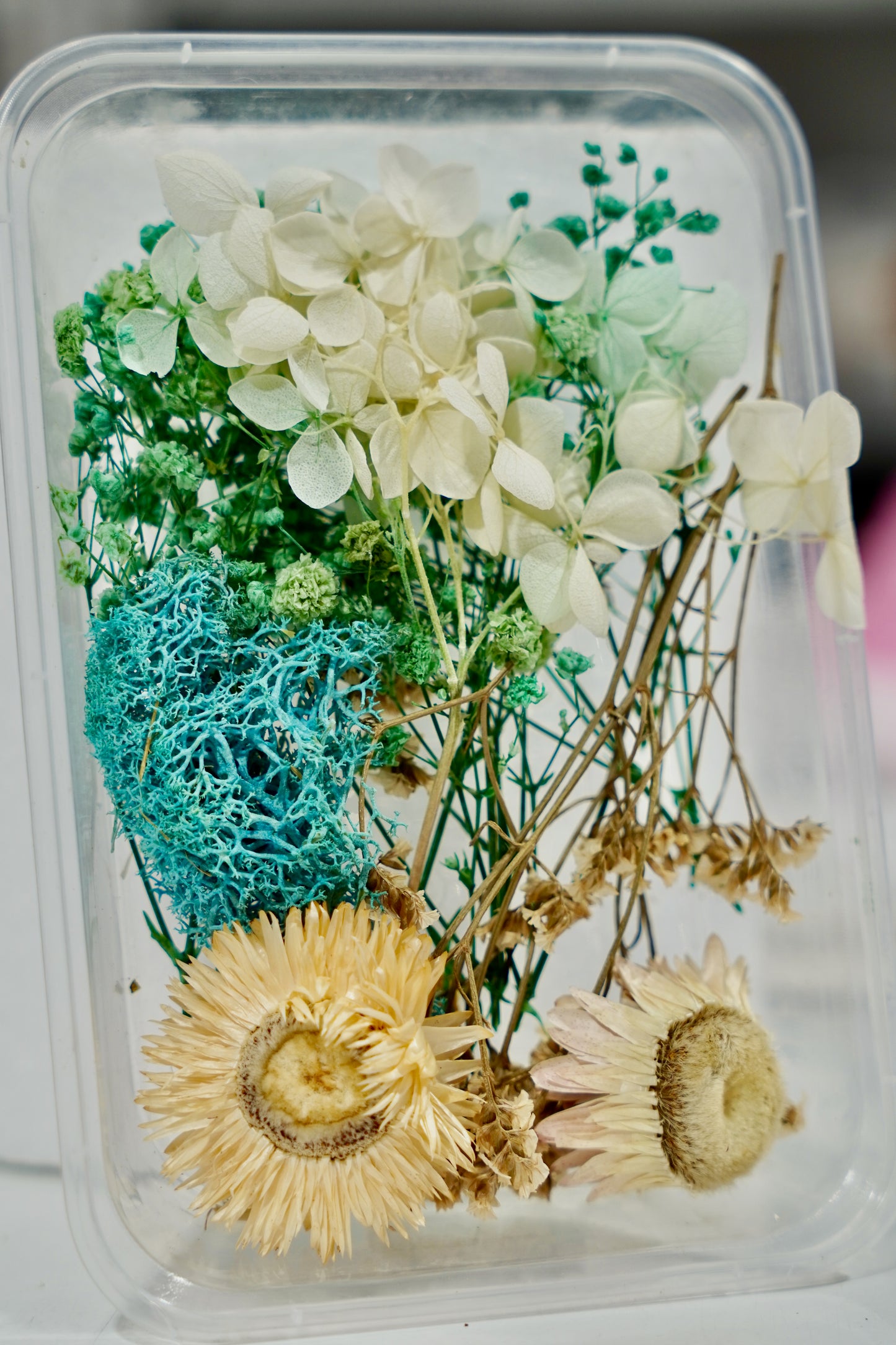 Real Dried Flower Box