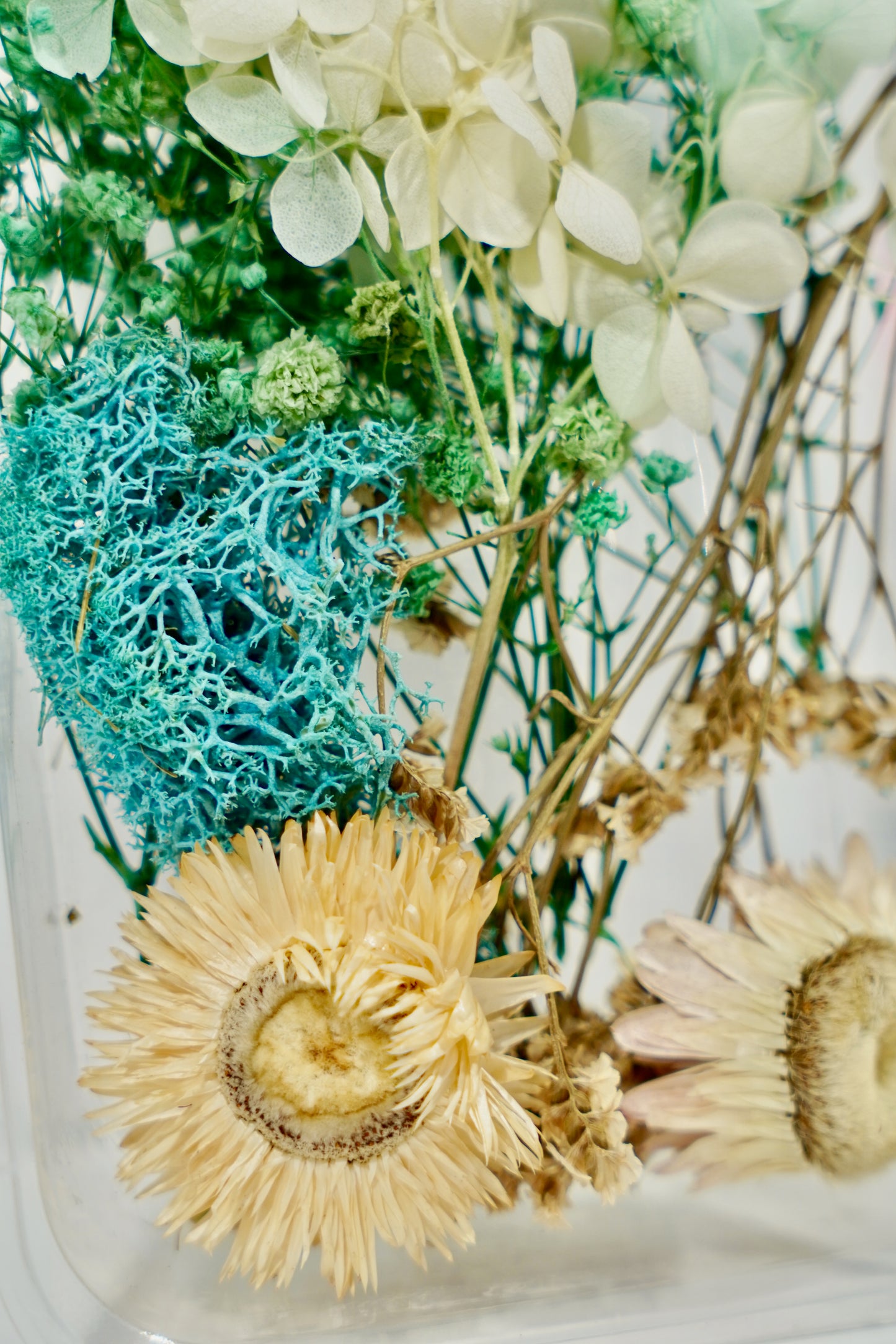 Real Dried Flower Box