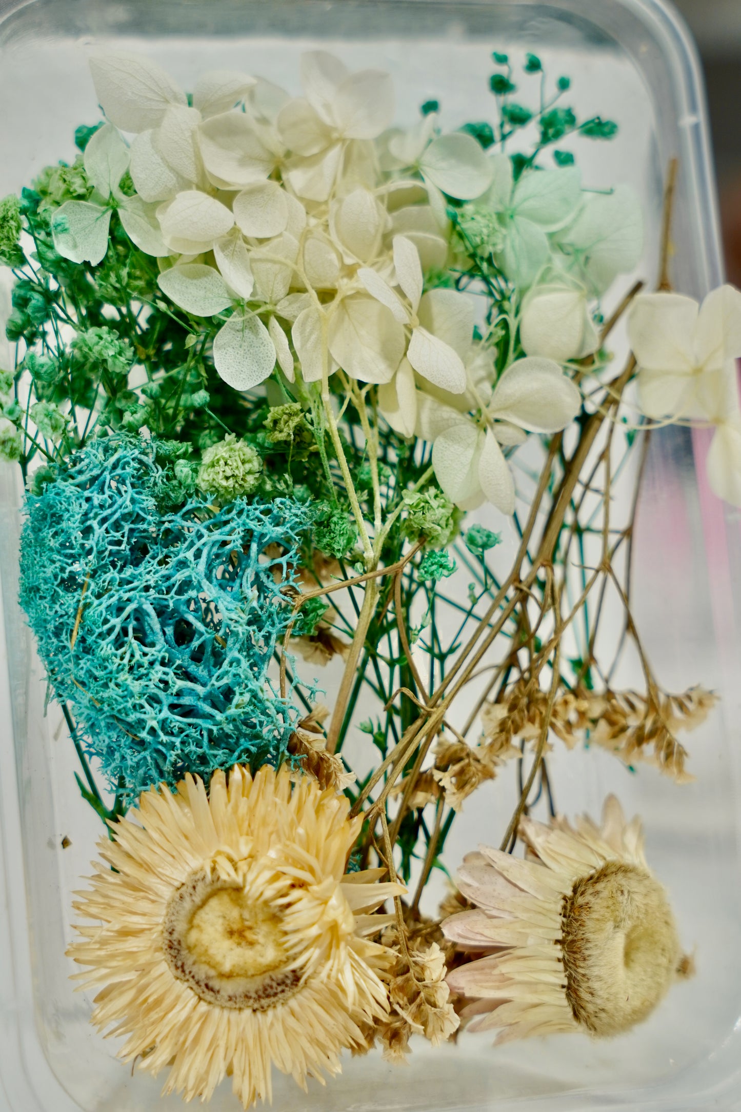Real Dried Flower Box