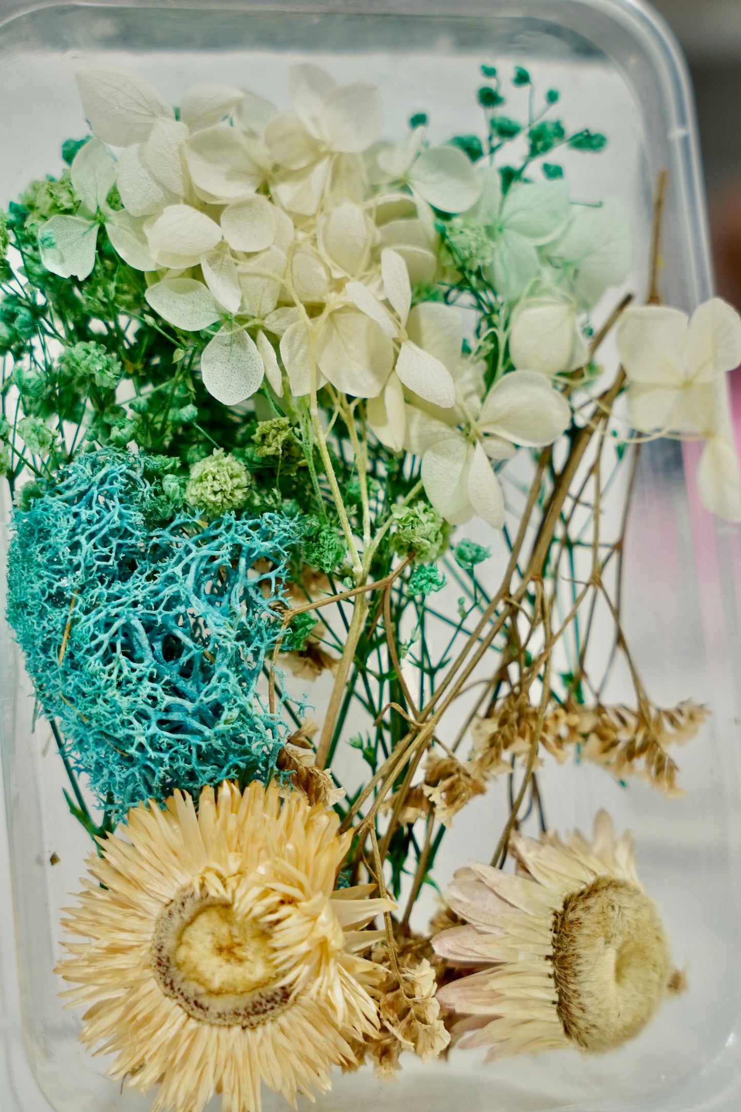 Real Dried Flower Box