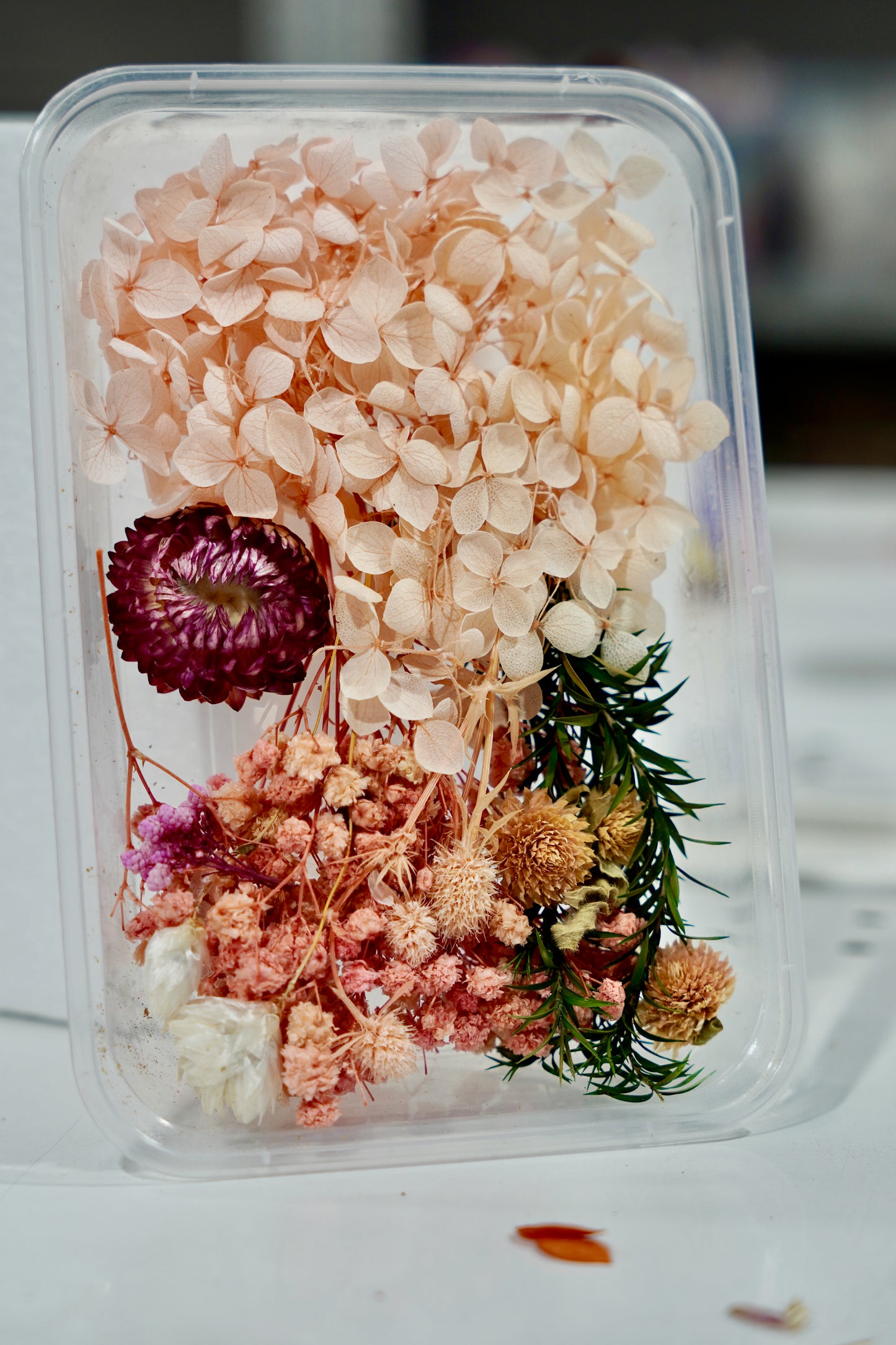 Real Dried Flower Box