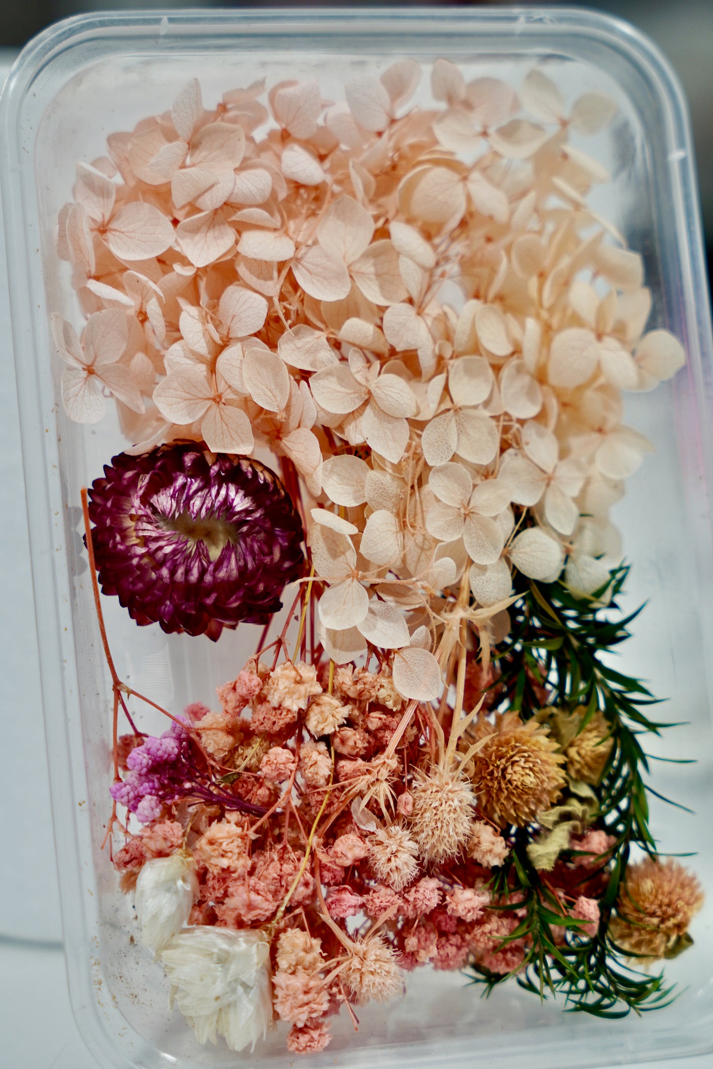 Real Dried Flower Box