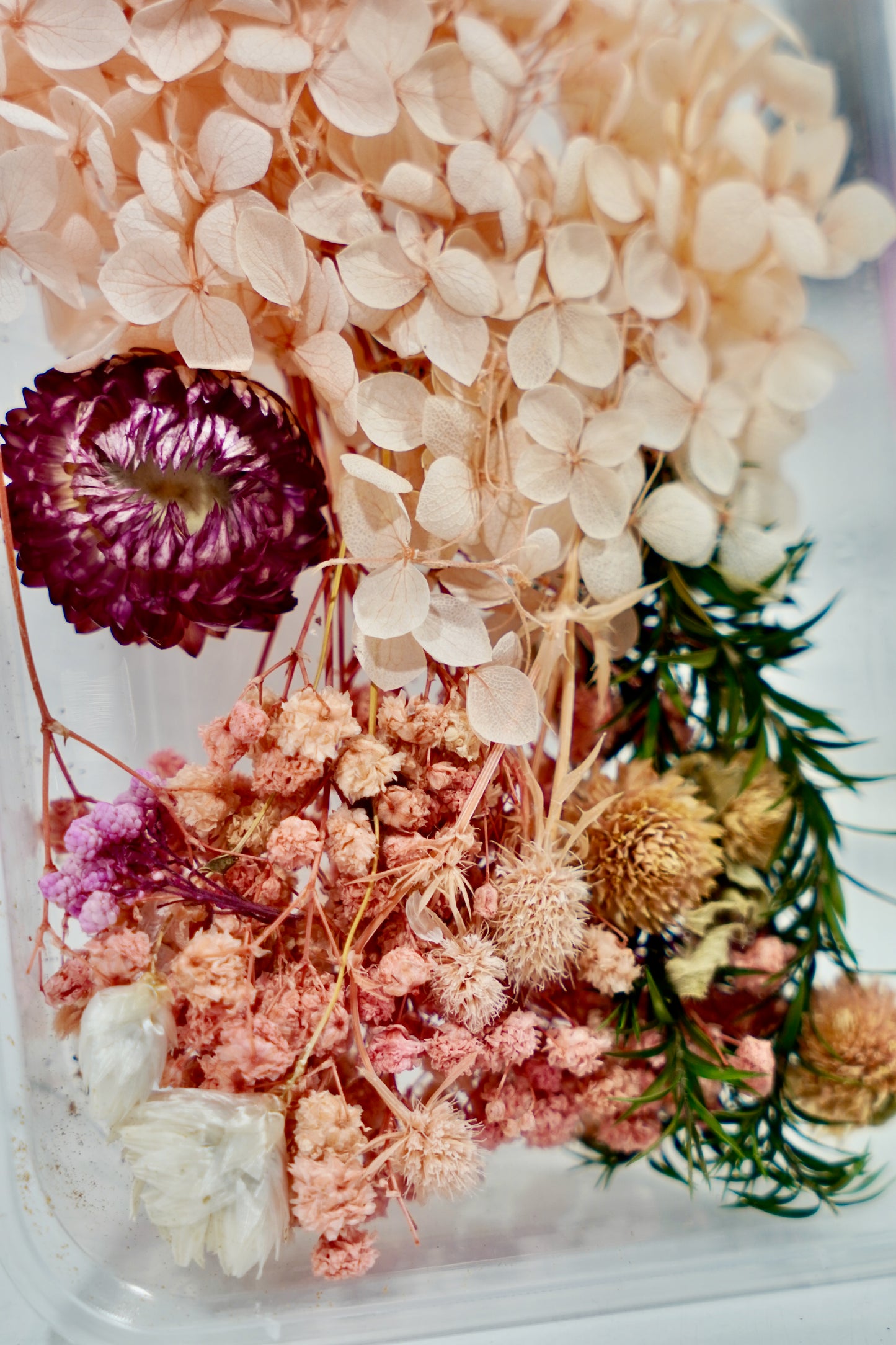 Real Dried Flower Box