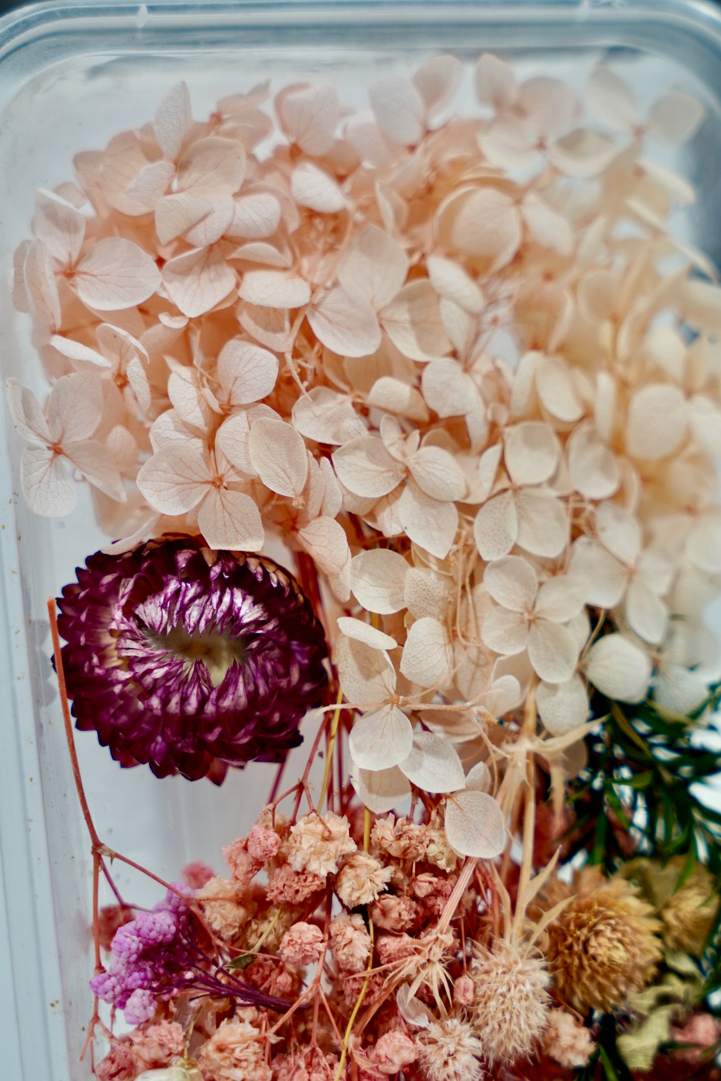 Real Dried Flower Box