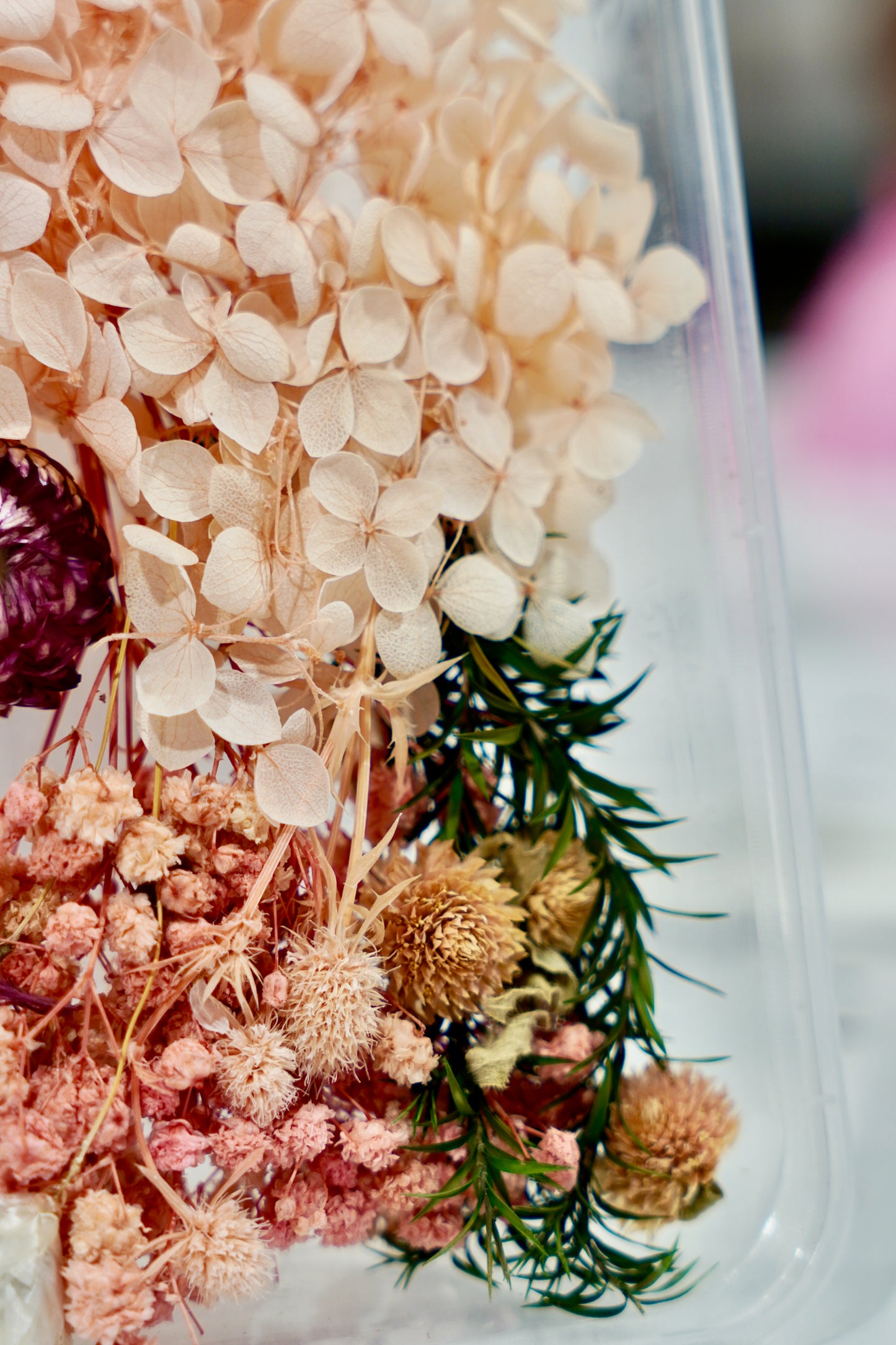 Real Dried Flower Box
