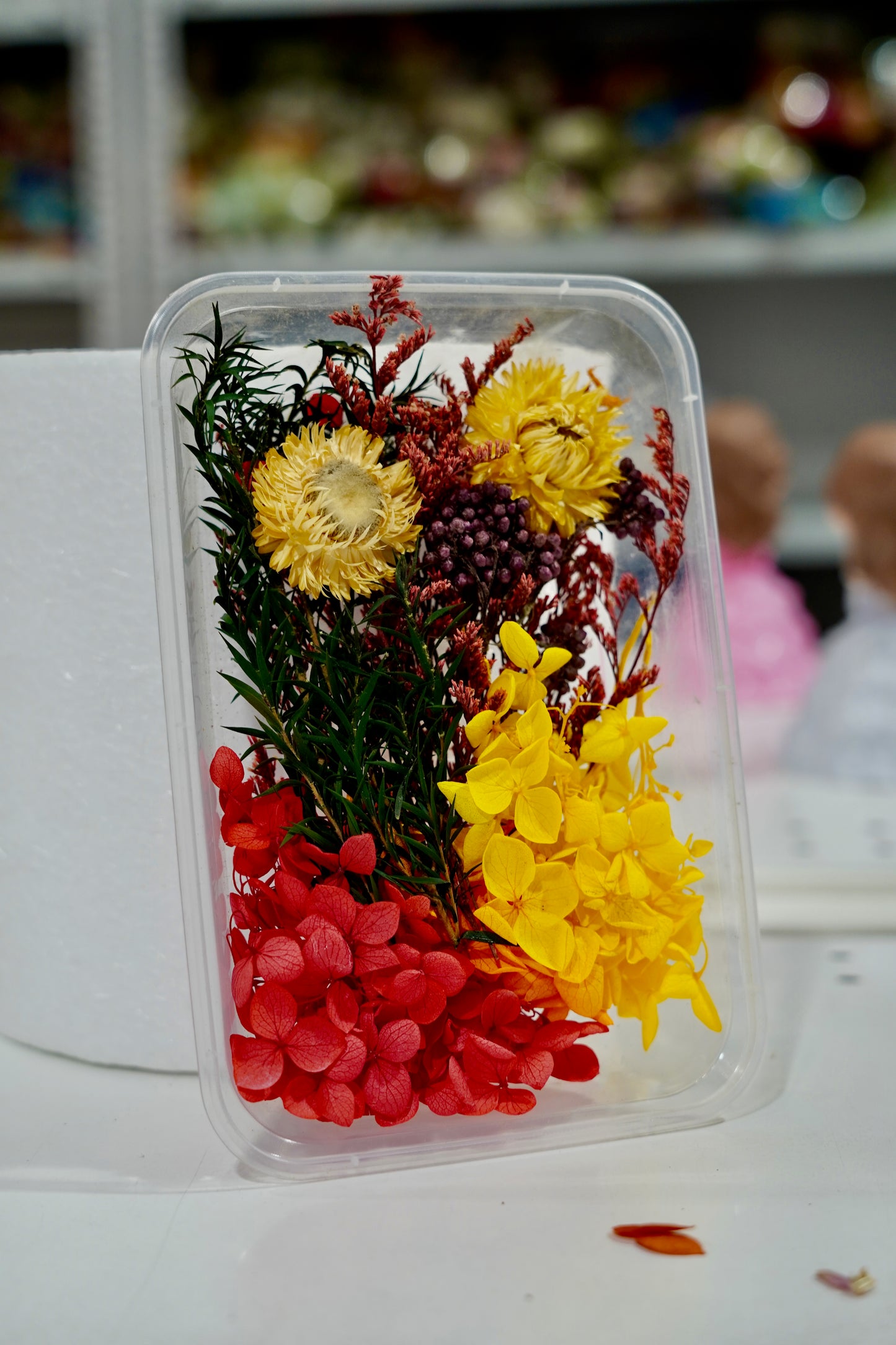 Real Dried Flower Box