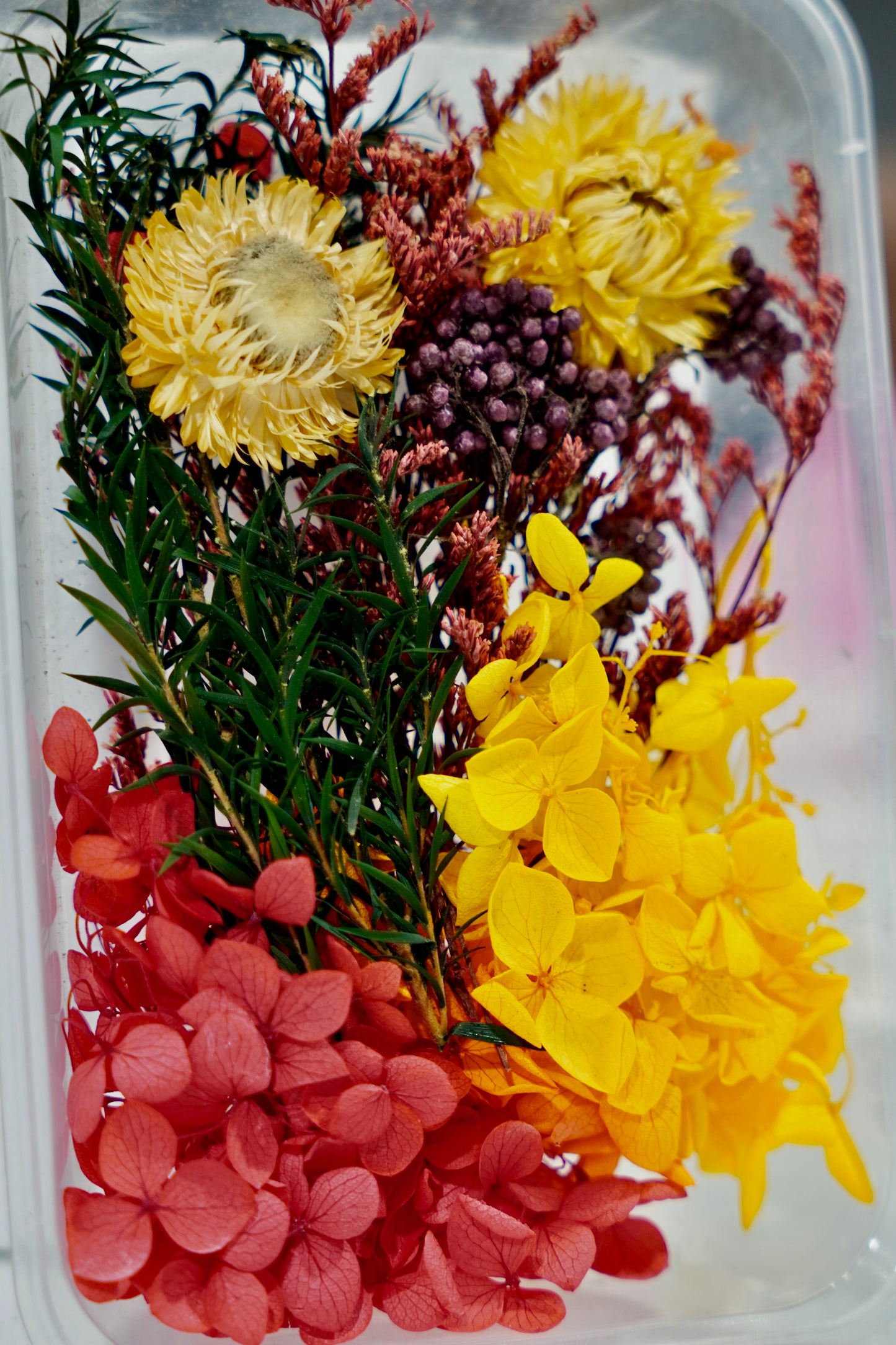 Real Dried Flower Box
