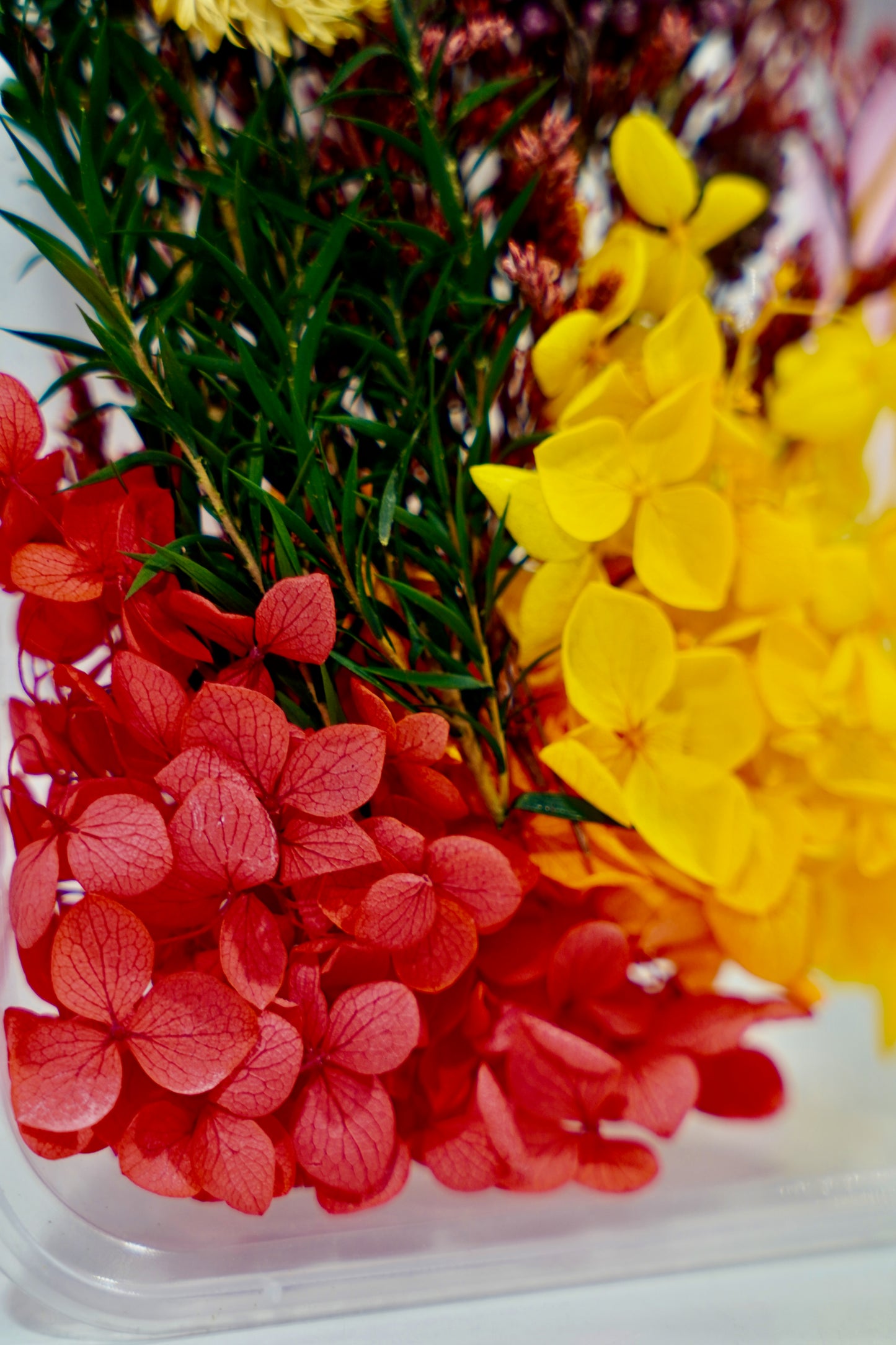 Real Dried Flower Box