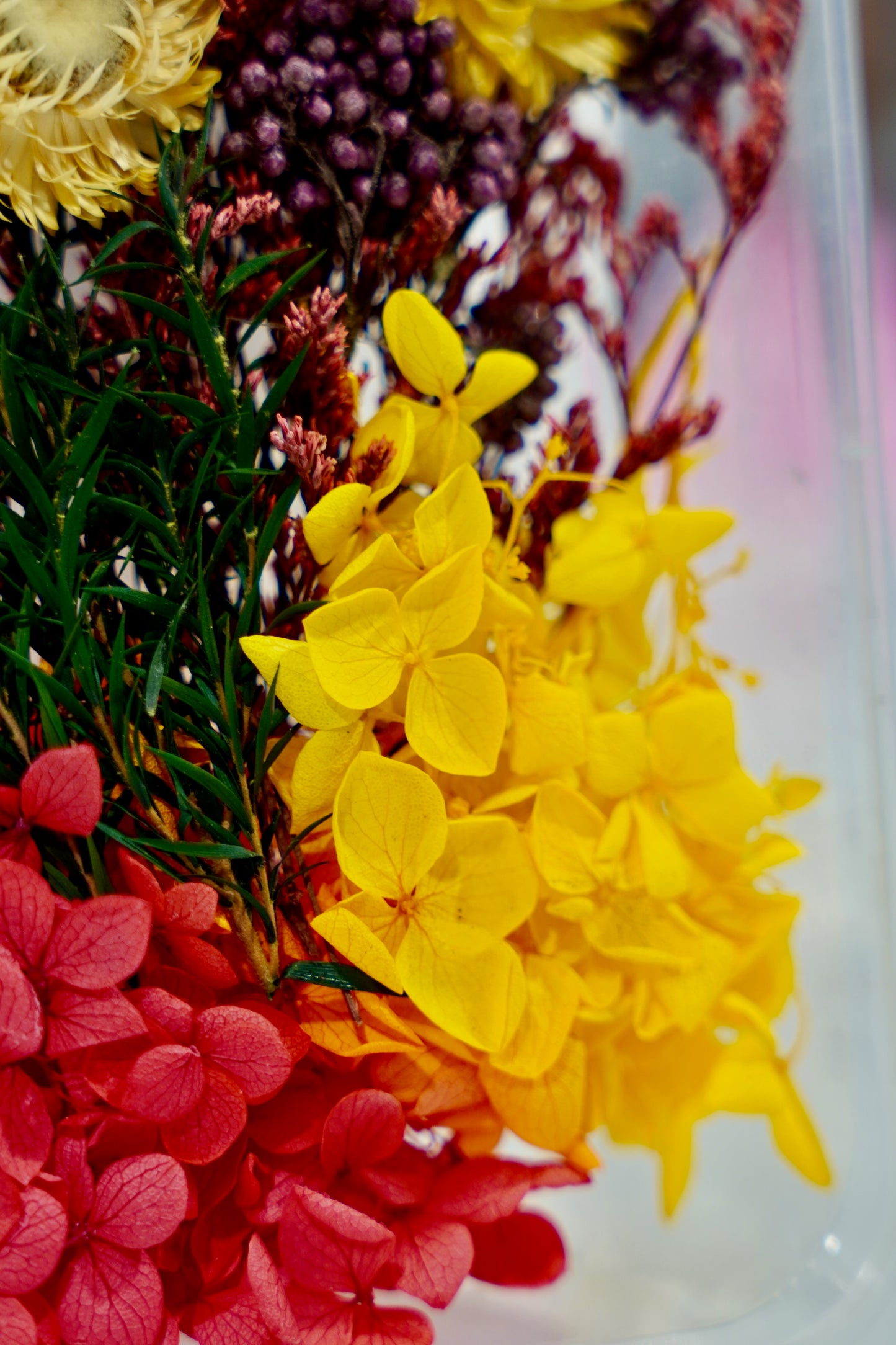 Real Dried Flower Box
