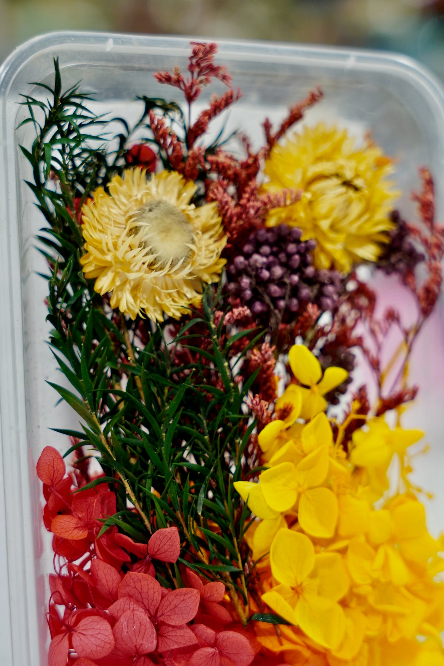 Real Dried Flower Box