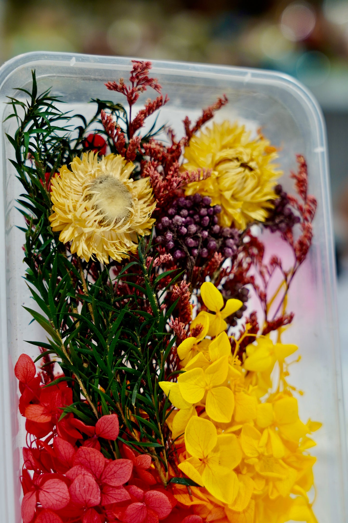 Real Dried Flower Box