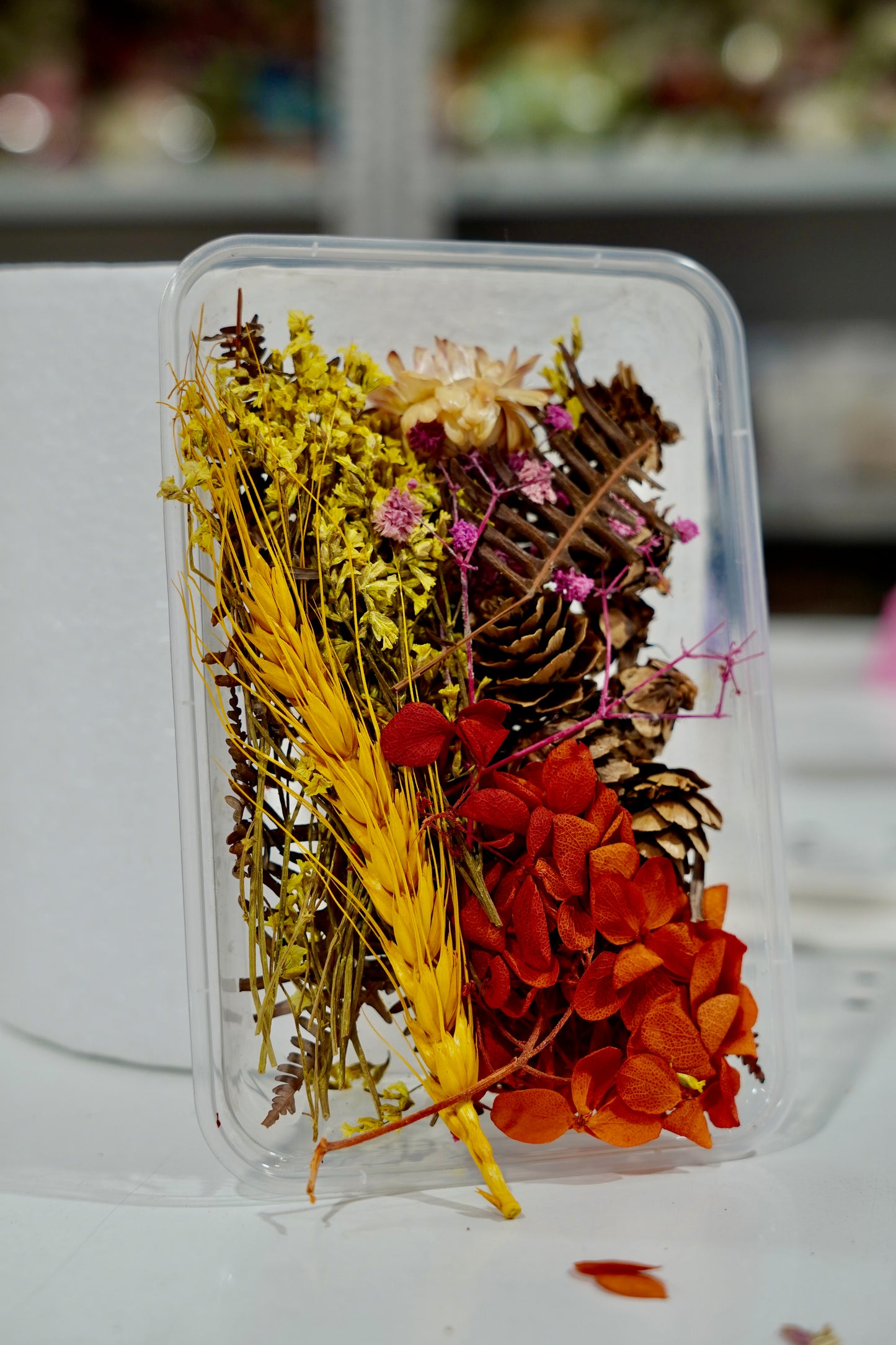 Real Dried Flower Box