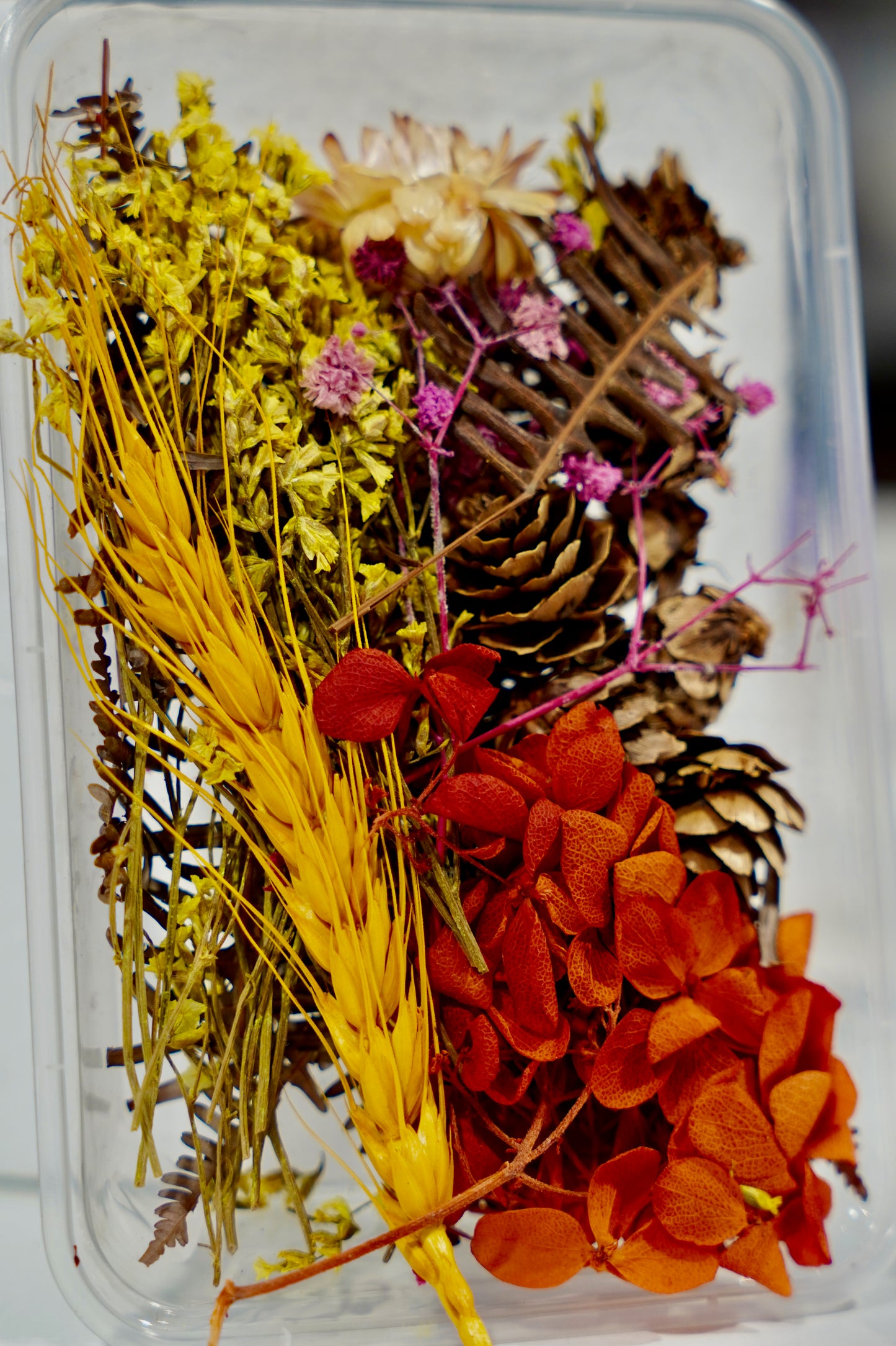 Real Dried Flower Box