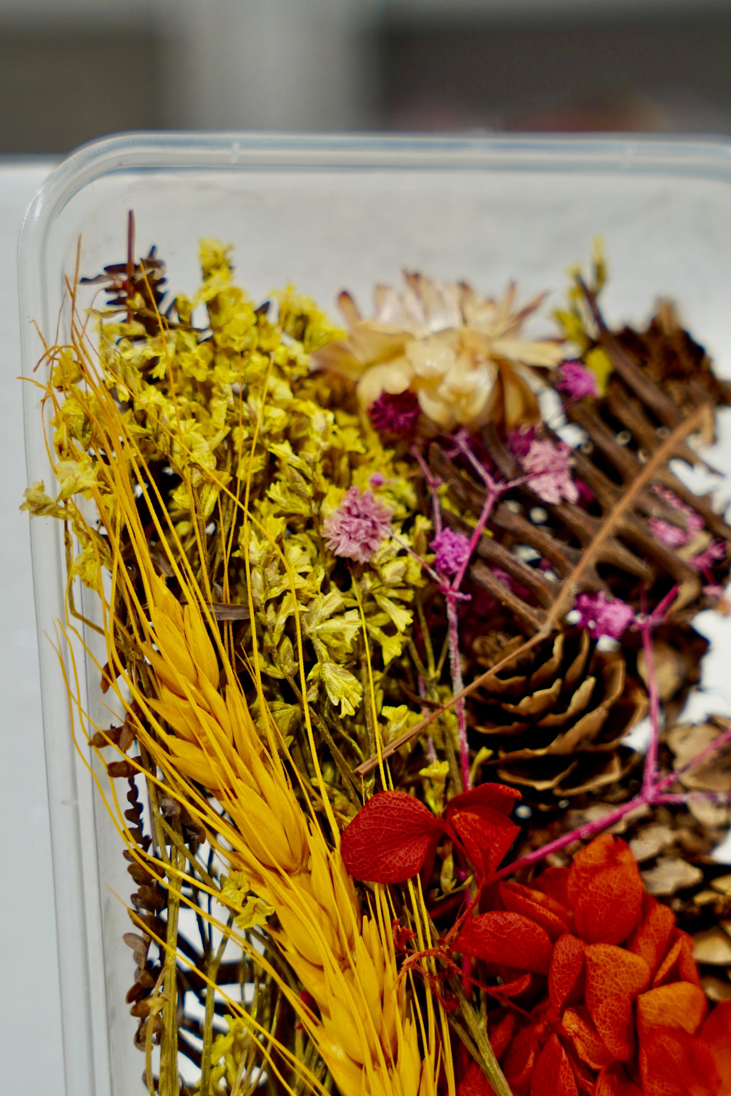 Real Dried Flower Box