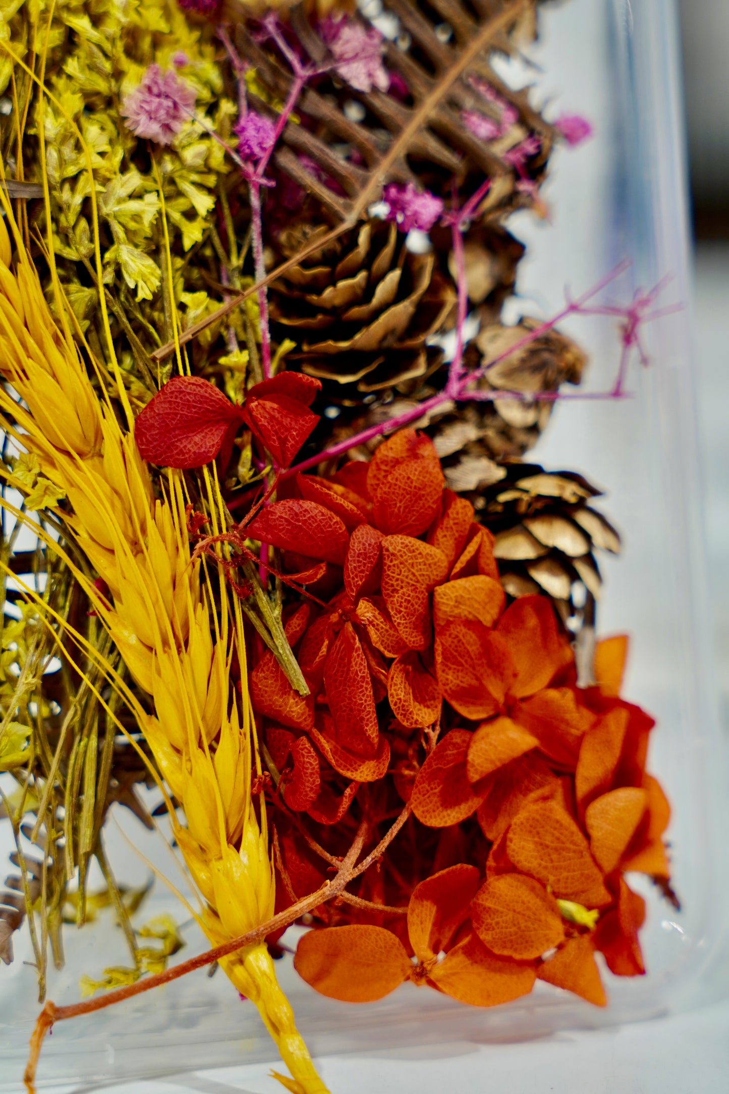 Real Dried Flower Box