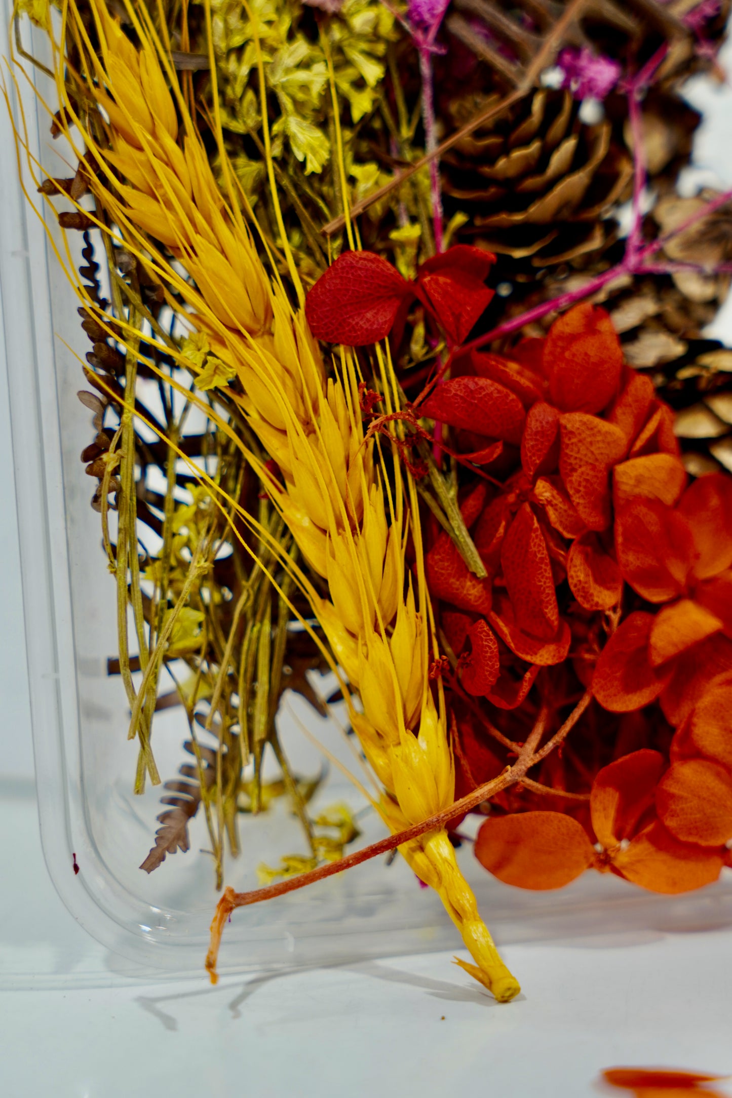 Real Dried Flower Box
