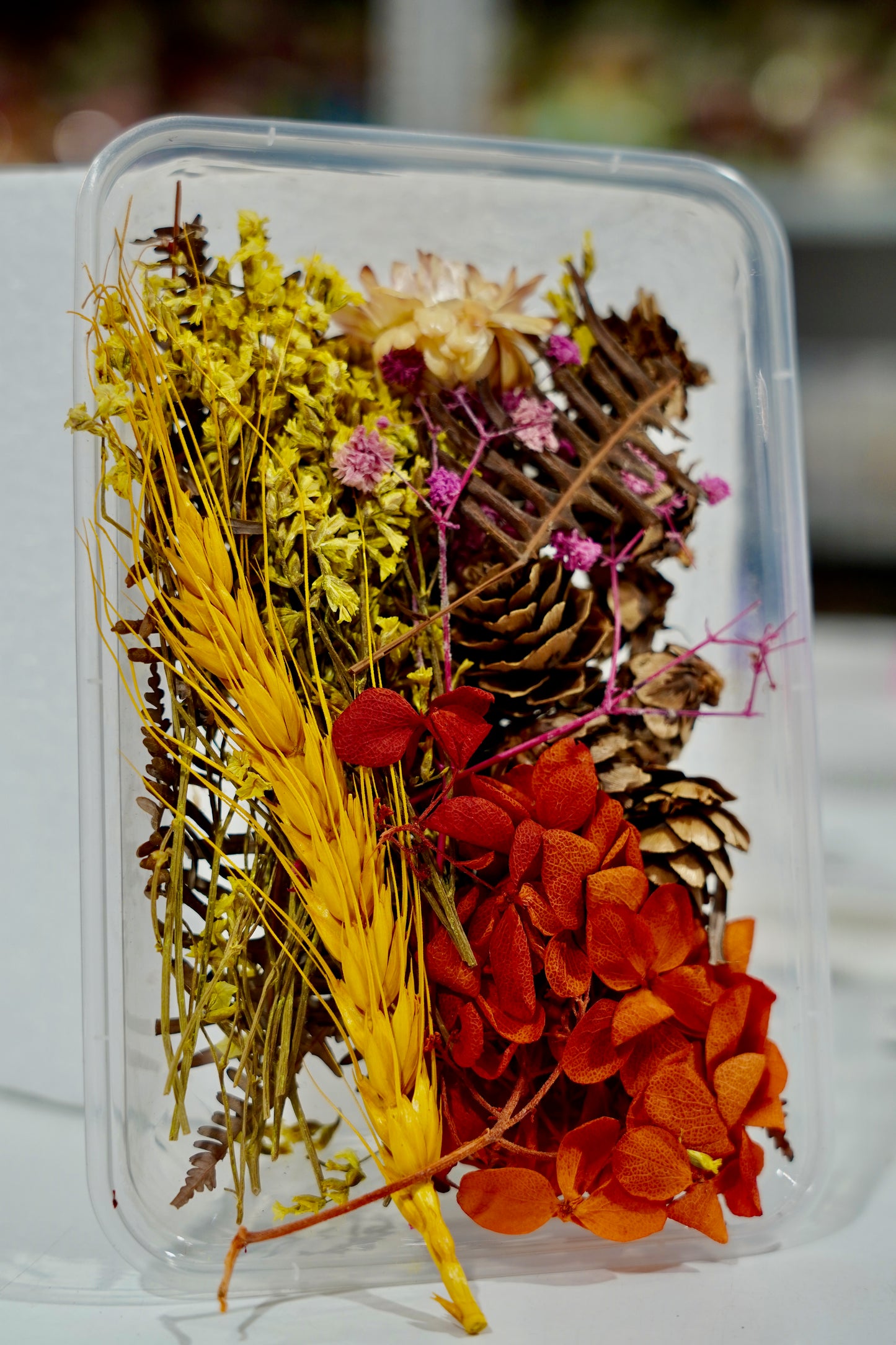 Real Dried Flower Box