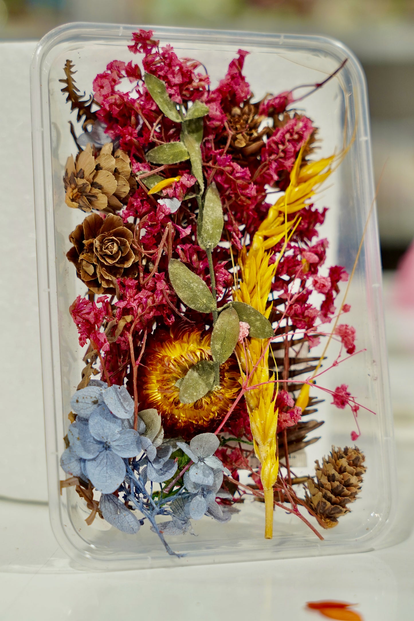 Real Dried Flower Box