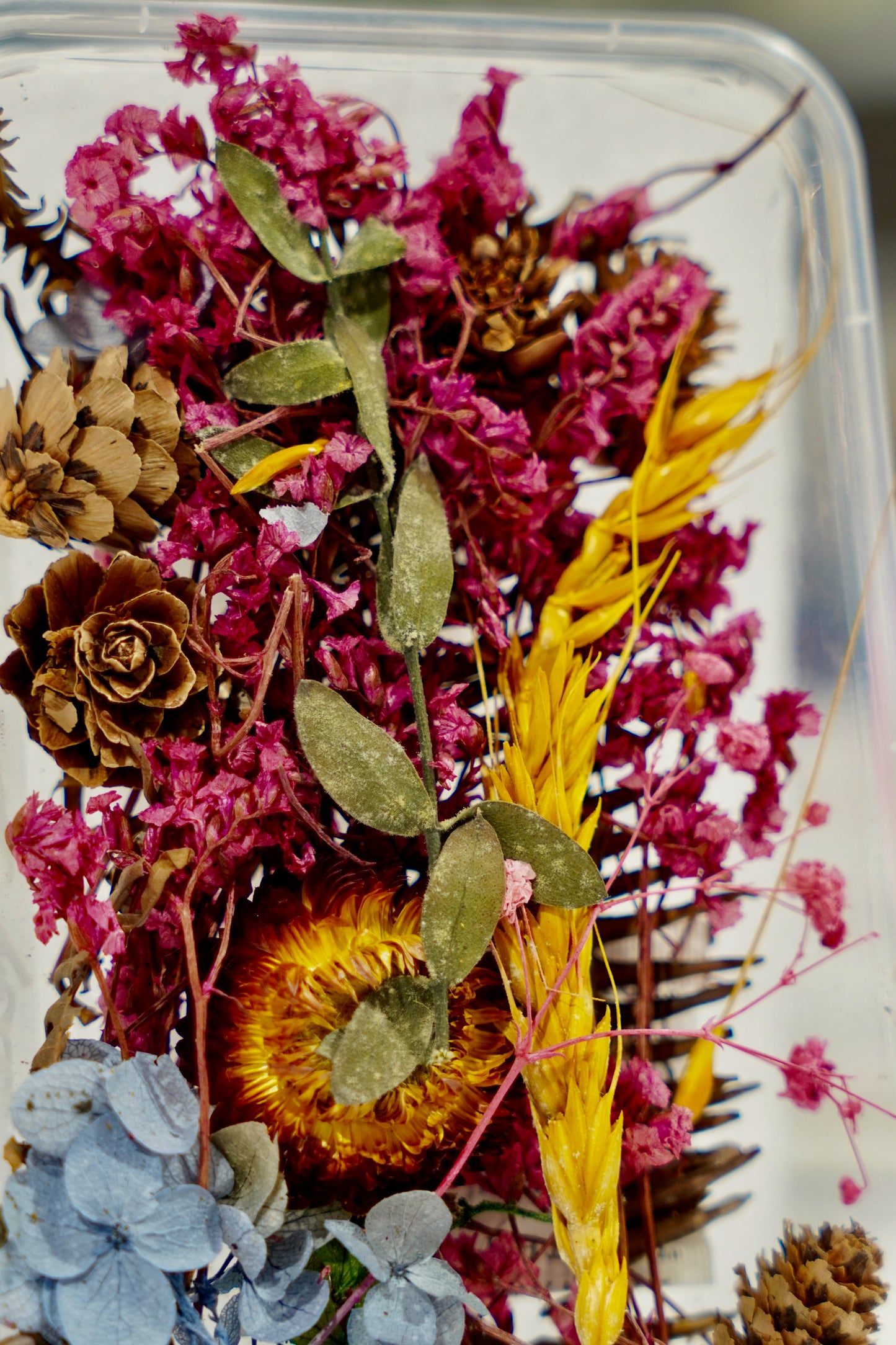 Real Dried Flower Box