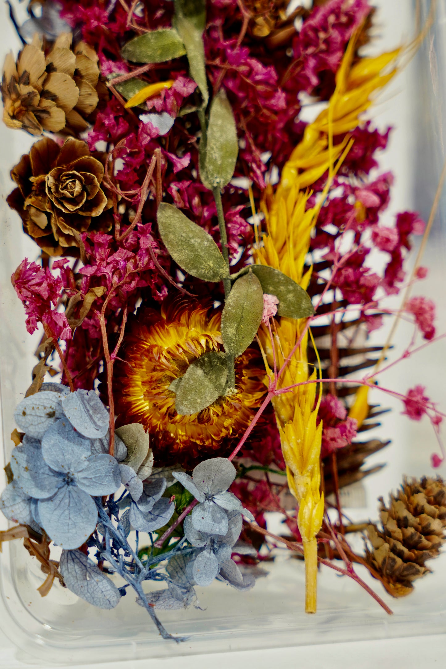 Real Dried Flower Box