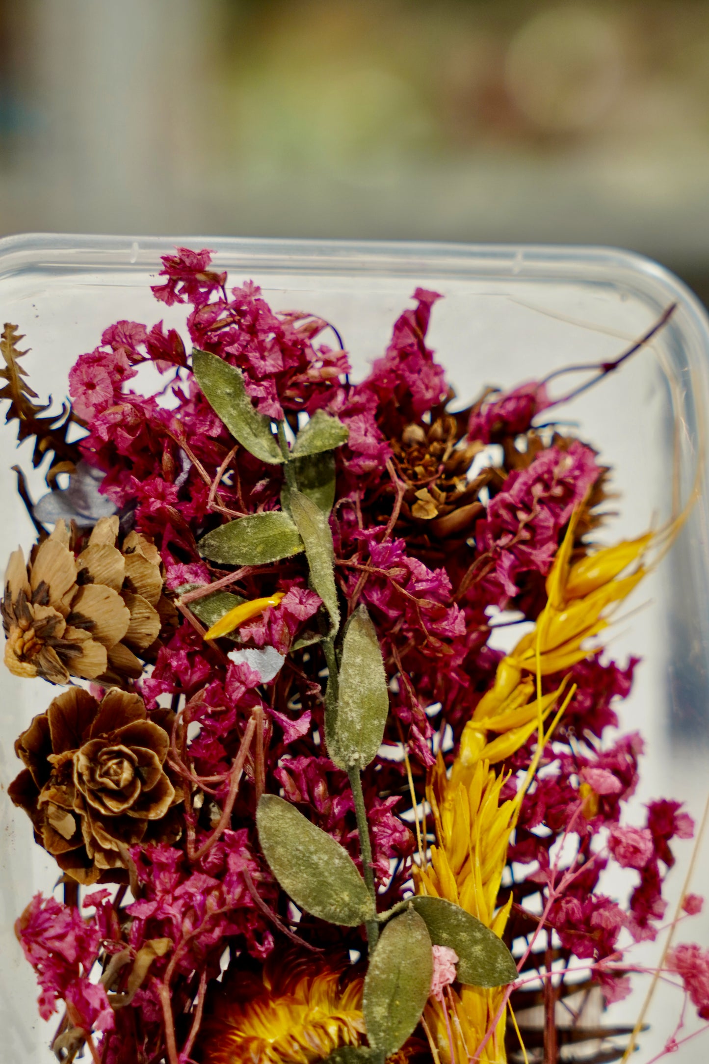 Real Dried Flower Box