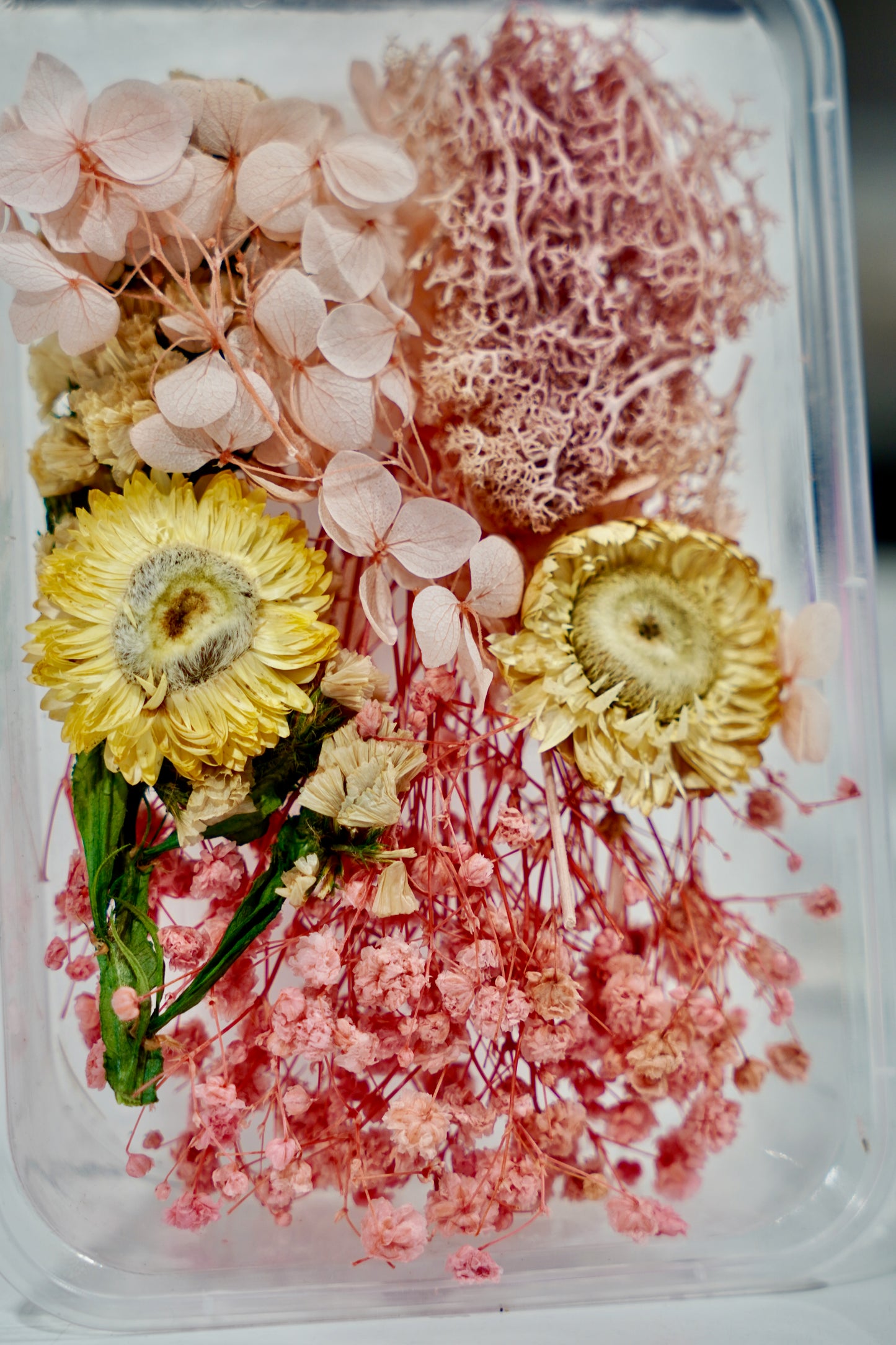 Real Dried Flower Box
