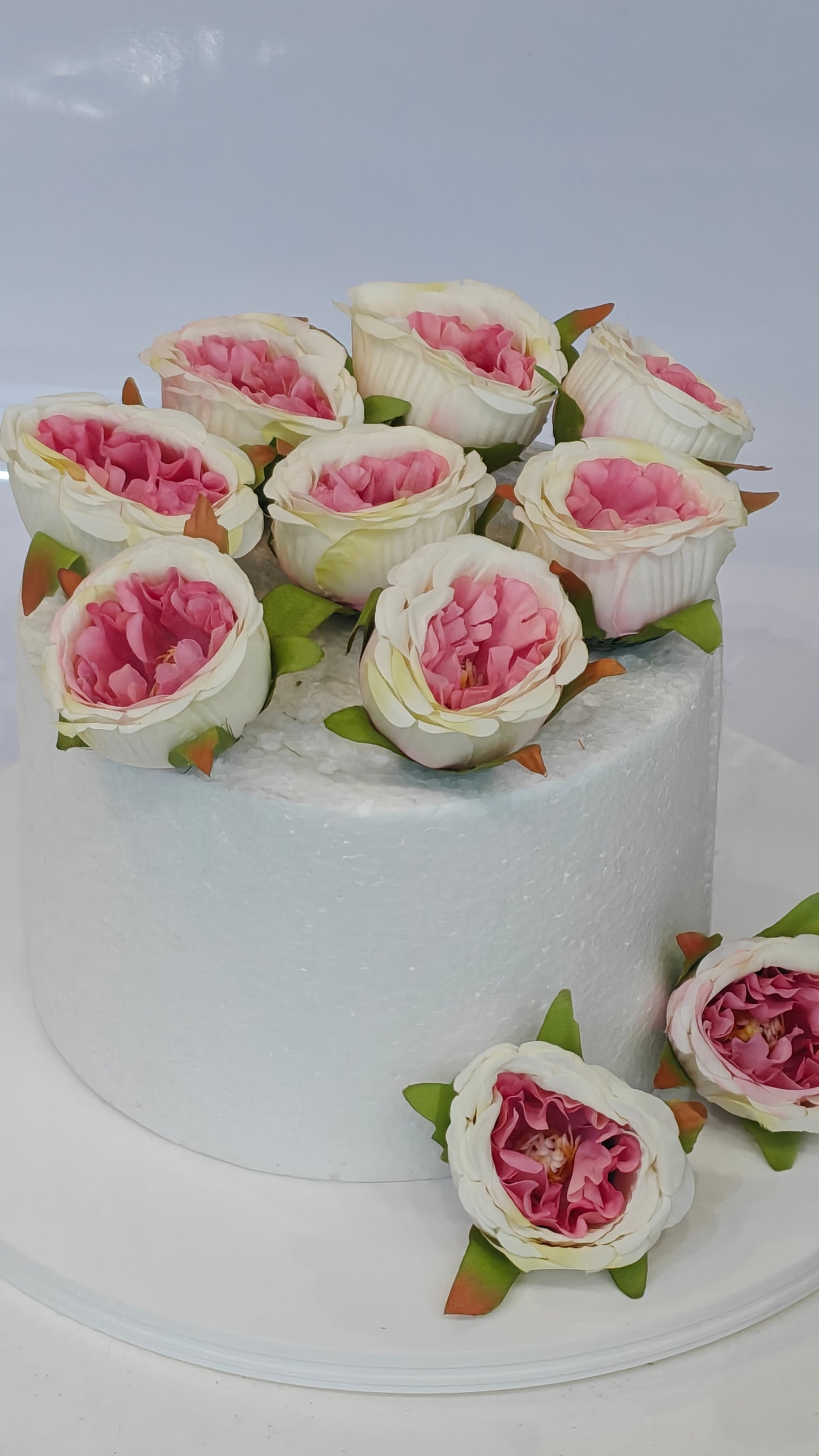 Pink & Off White Peonies (Pack of 10)