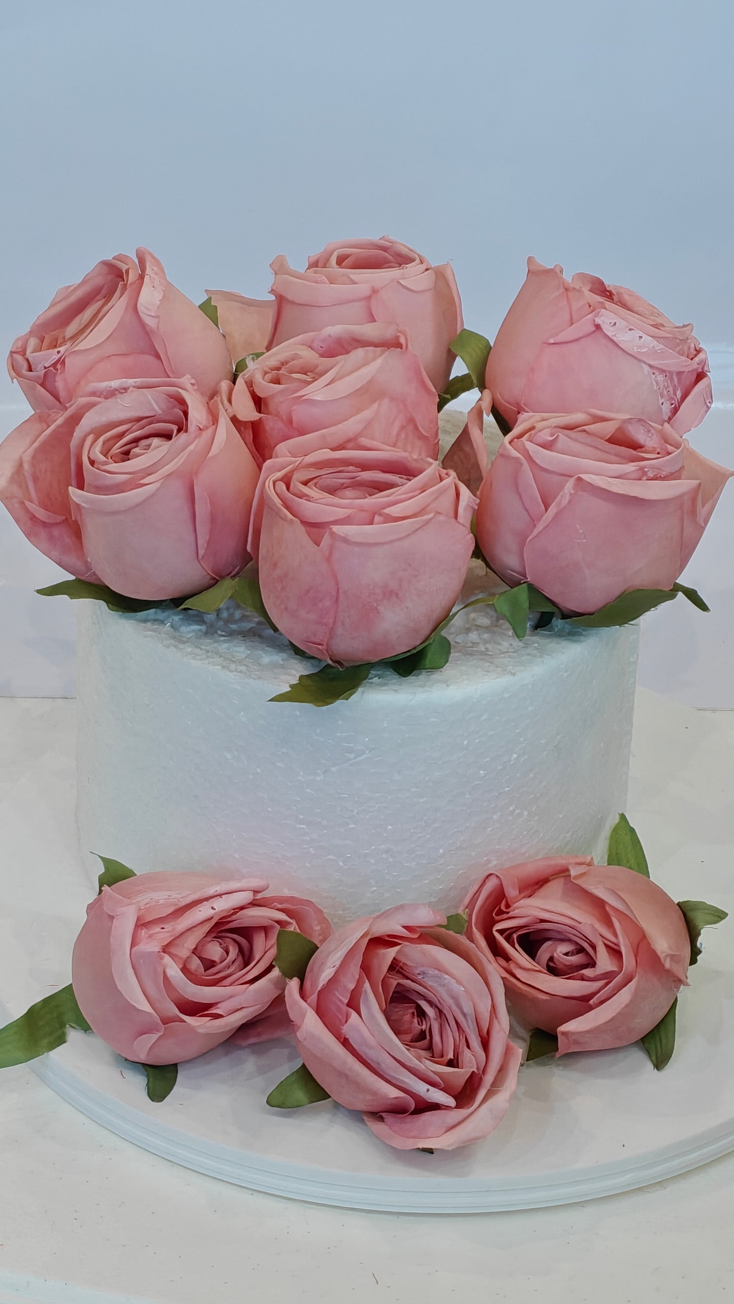 Blush Pink Cabbage Roses (Pack of 10)