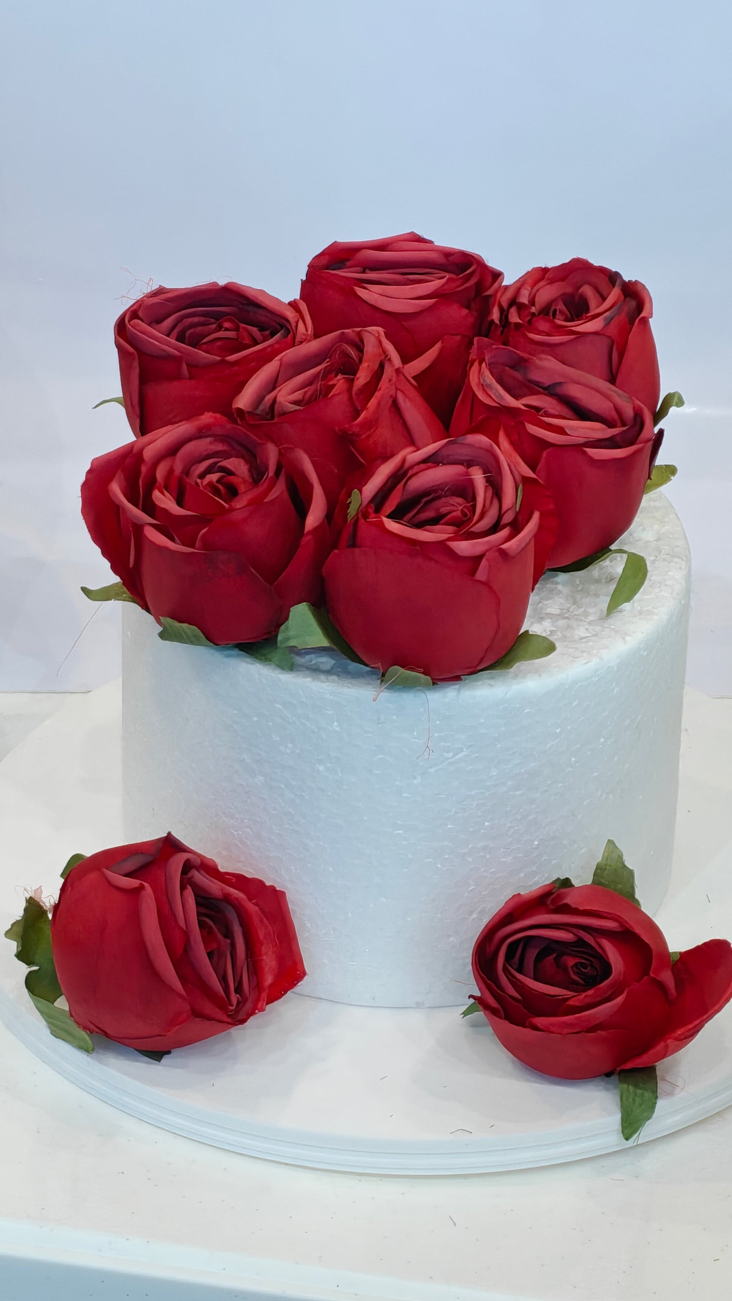 Red Cabbage Roses (Pack of 10)
