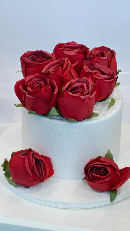 Red Cabbage Roses (Pack of 10)