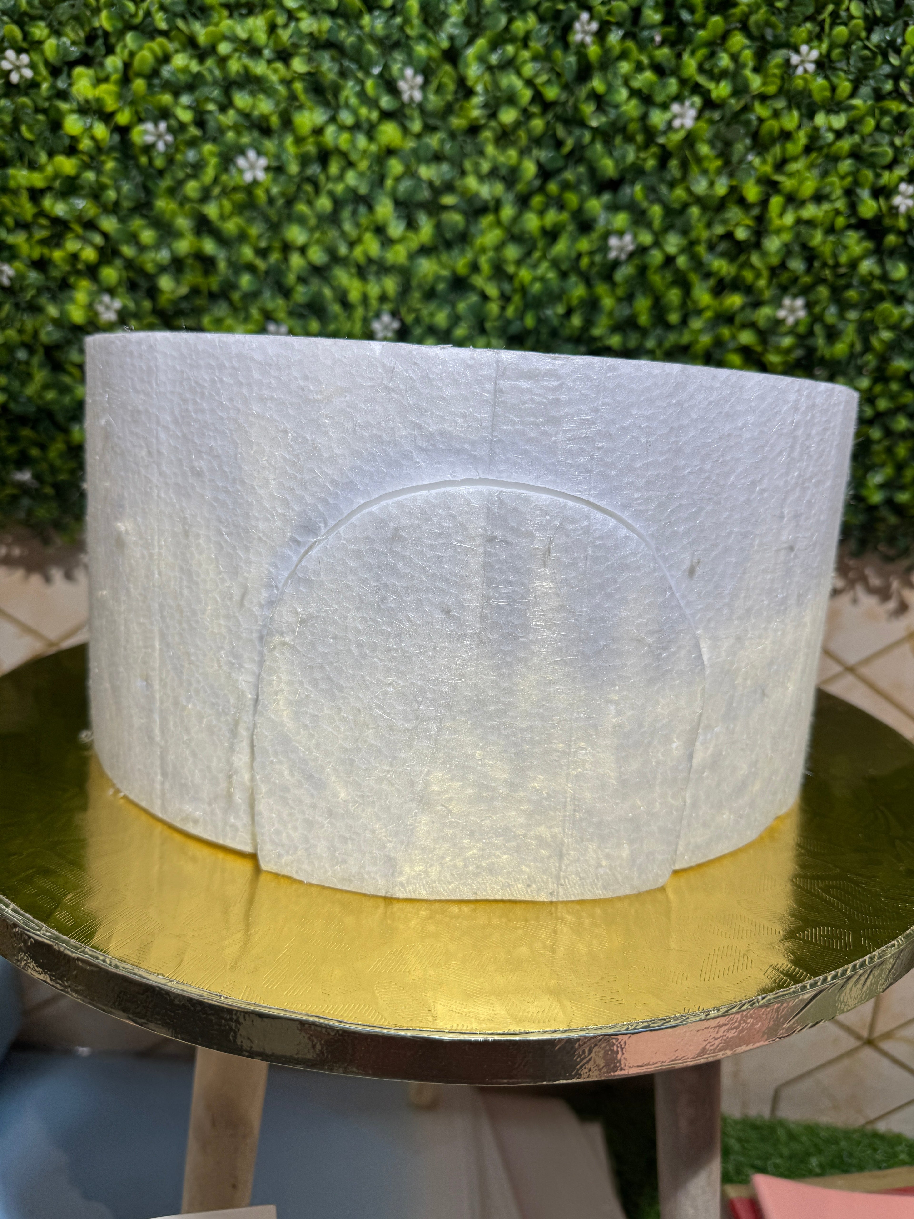 Train Passing Cake Dummy